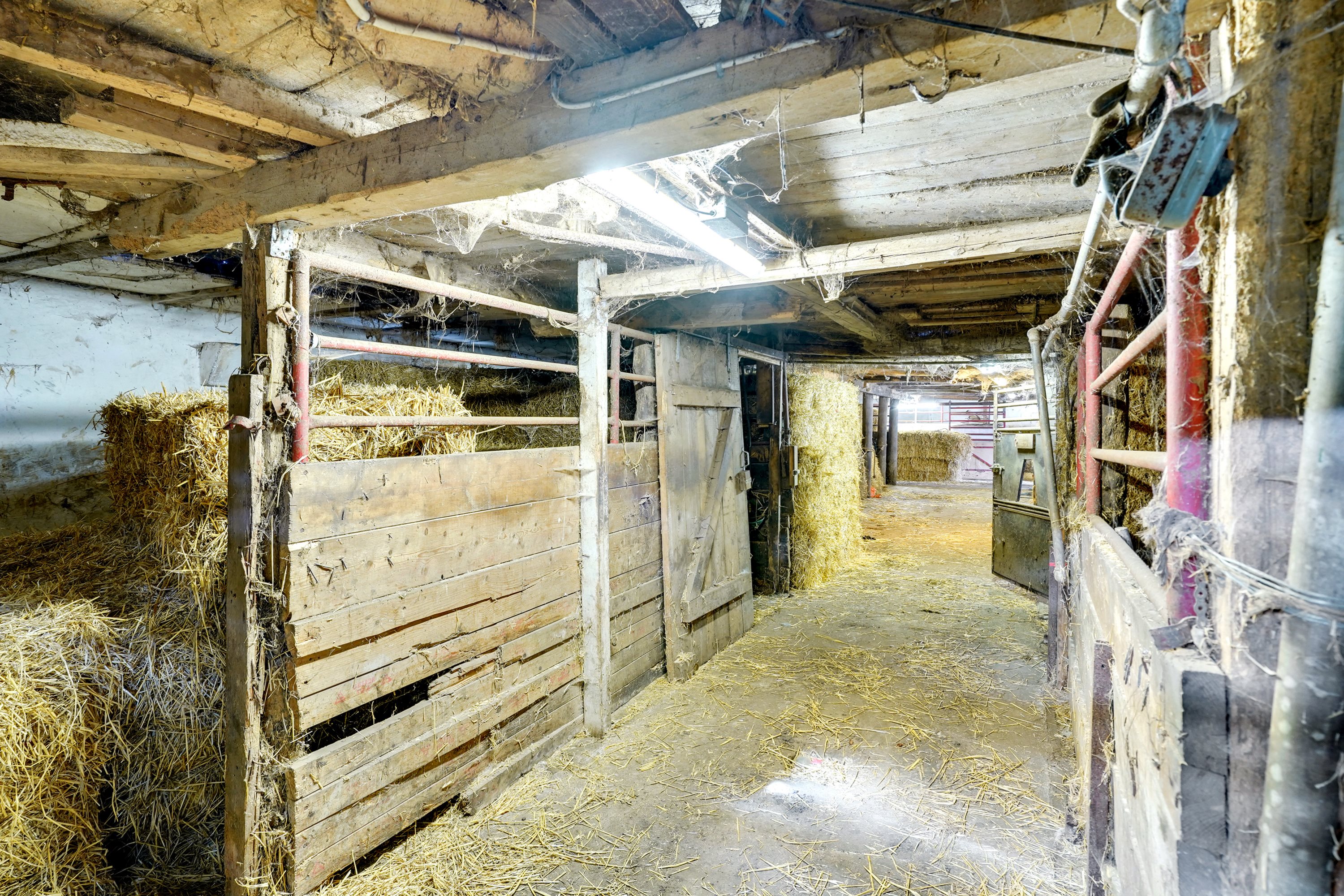 Fremhævet stald billede i fuldskærmstilstand. Billede af Vollerup Gårde 7, 4200 Slagelse