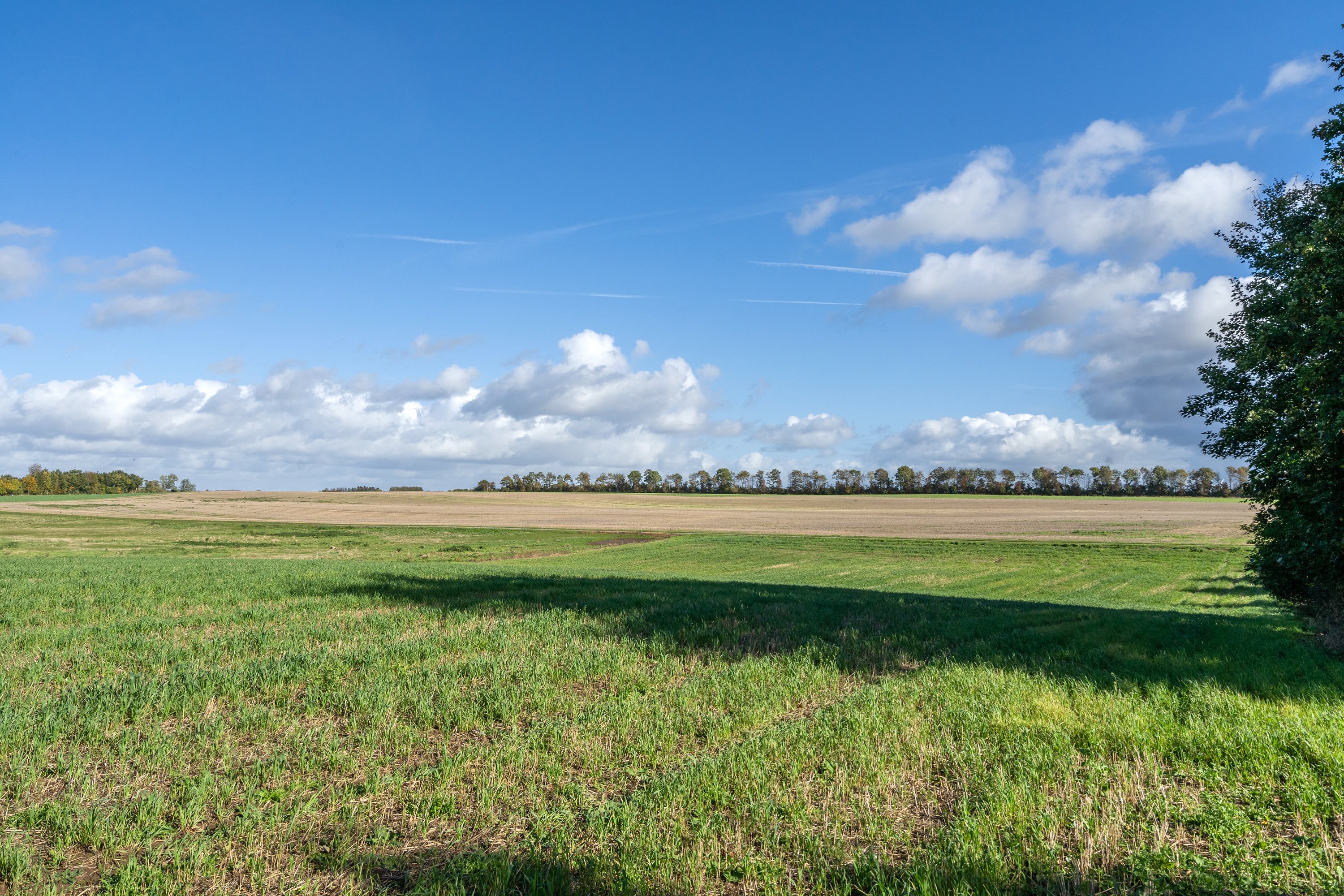 Fremhævet grund billede i fuldskærmstilstand. Billede af Vollerup Gårde 7, 4200 Slagelse