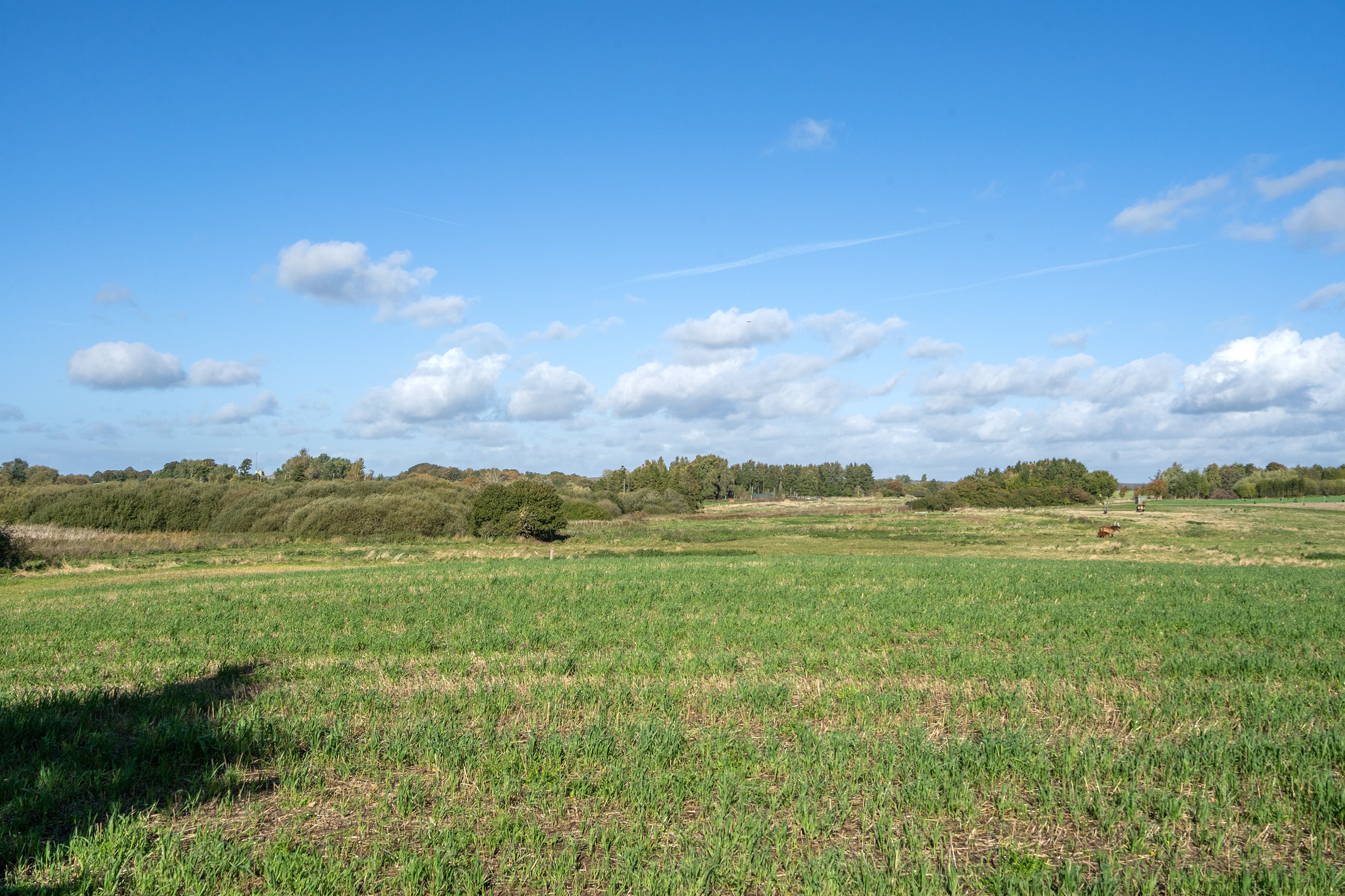 Fremhævet grund billede i fuldskærmstilstand. Billede af Vollerup Gårde 7, 4200 Slagelse