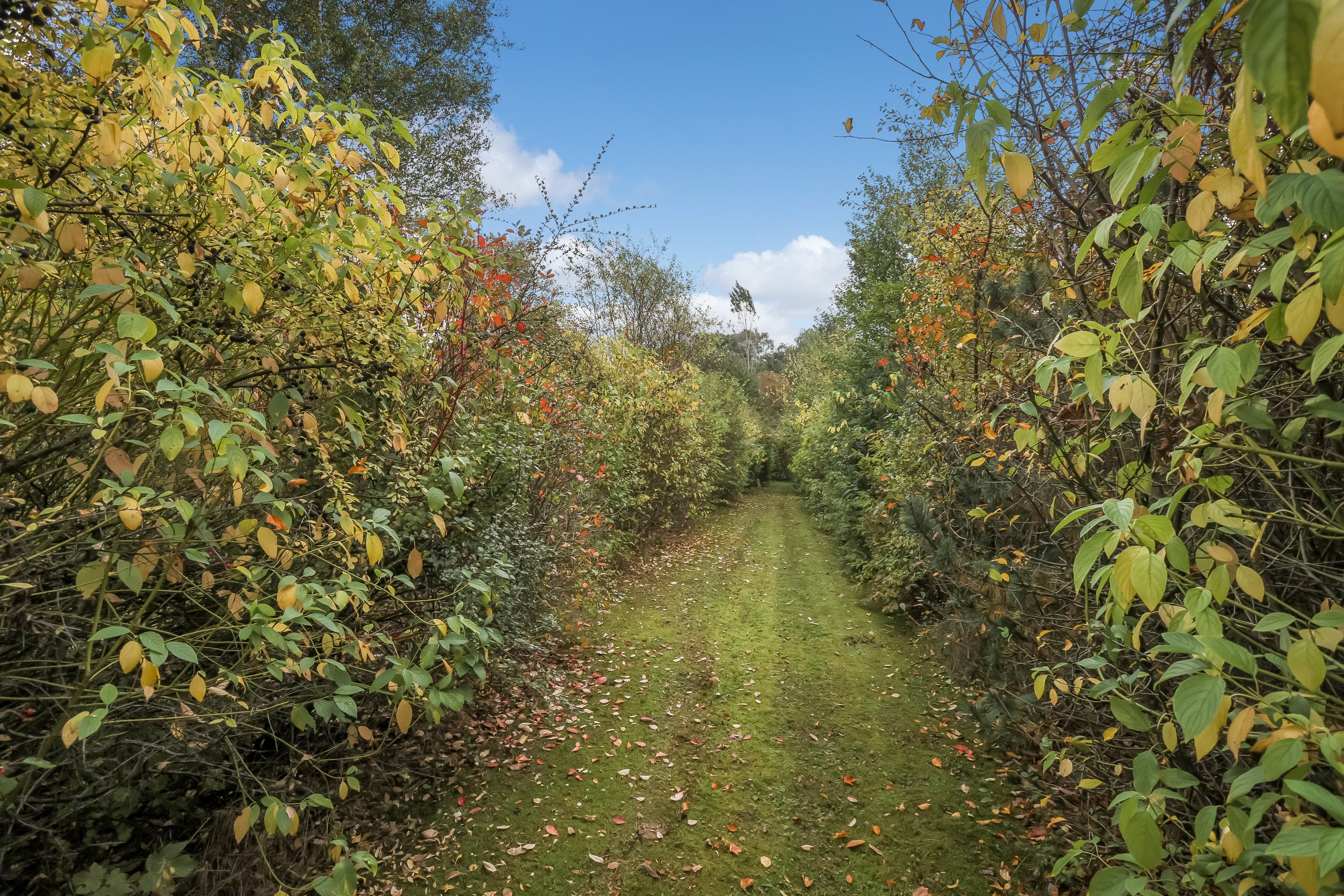 Fremhævet ejendommen billede i fuldskærmstilstand. Billede af Bredgade 9, Mønsted, 8800 Viborg