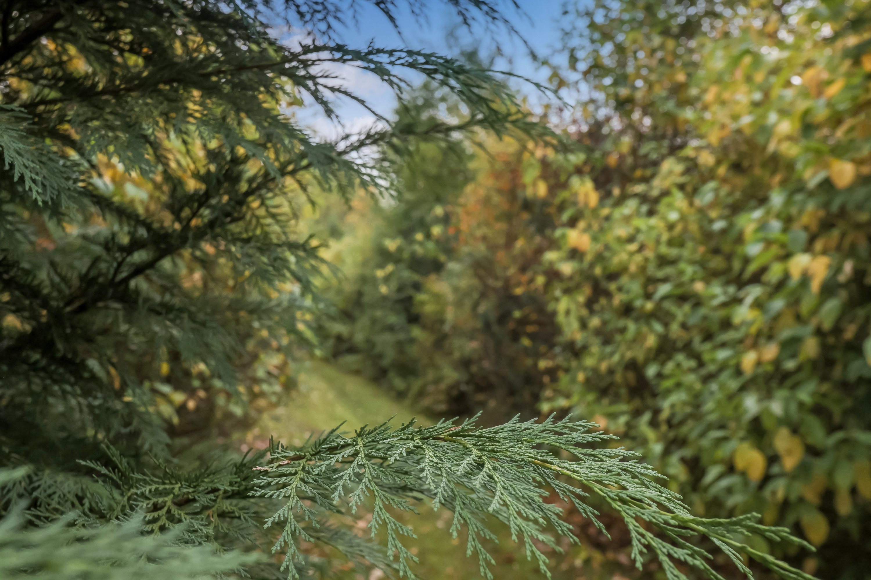 Fremhævet ejendommen billede i fuldskærmstilstand. Billede af Bredgade 9, Mønsted, 8800 Viborg