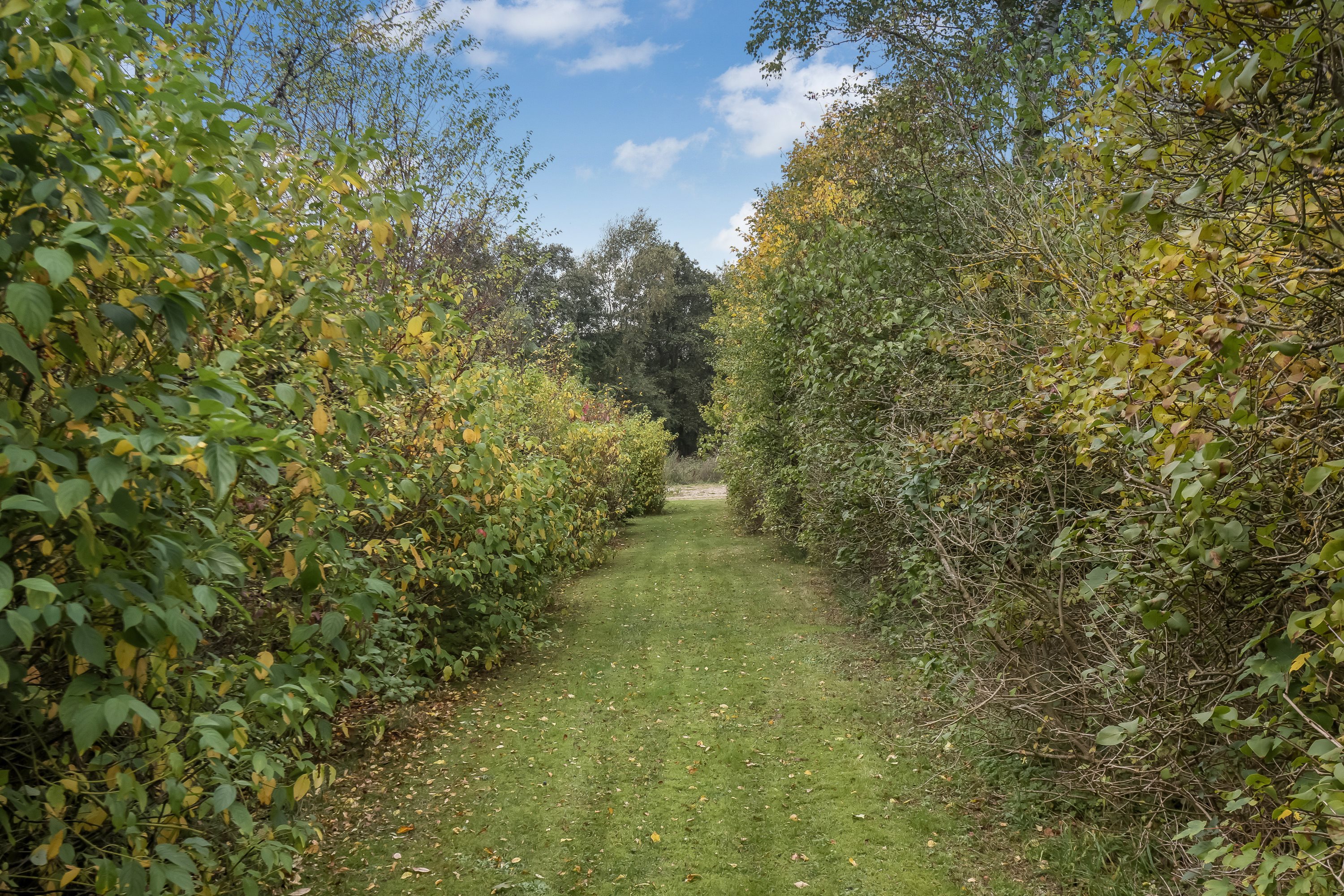 Miniaturebillede 1: ejendommen. Billede af Bredgade 9, Mønsted, 8800 Viborg