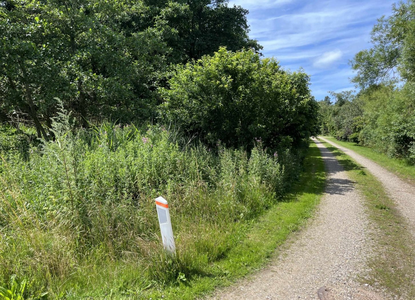 Fremhævet  billede i fuldskærmstilstand. Billede af Sommerstedvej 60, Lyngs Torp, 7790 Thyholm