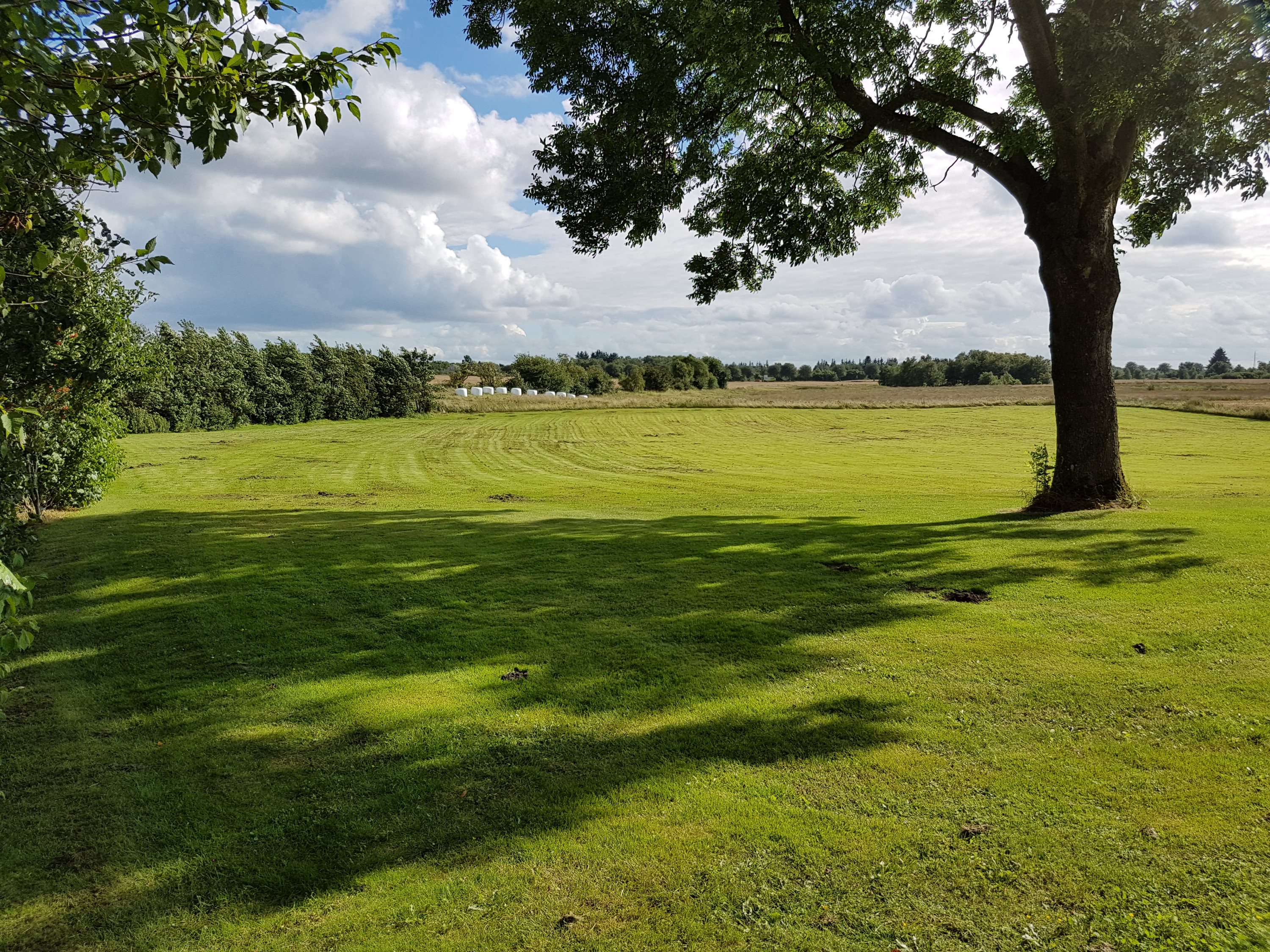 Fremhævet andet billede i fuldskærmstilstand. Billede af Sønderbjerge 2, Vilsbæk, 6330 Padborg