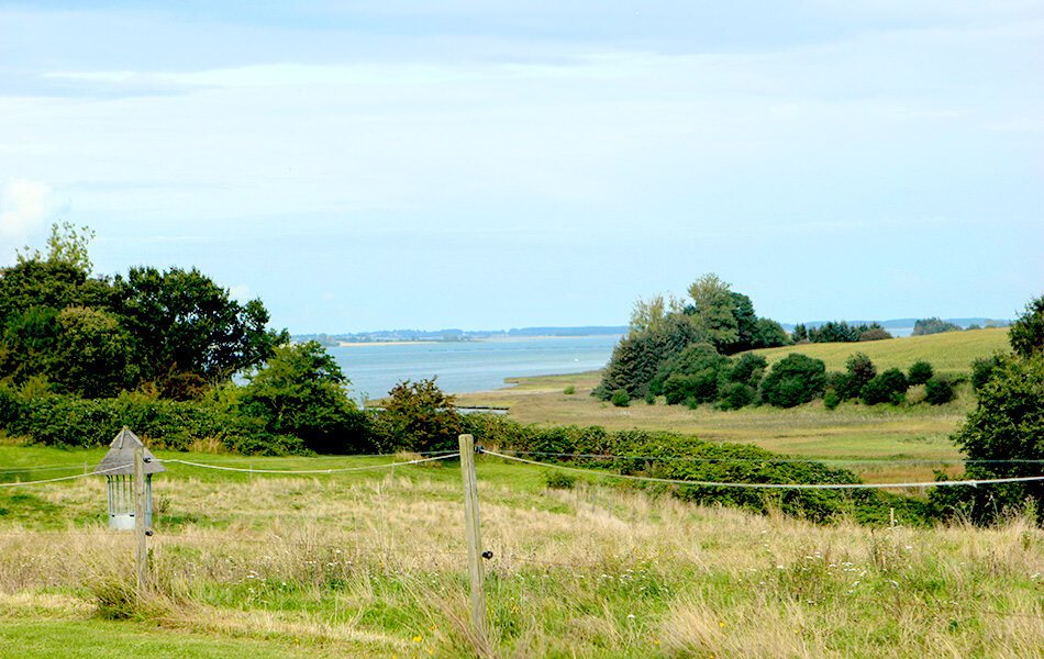 Fremhævet andet billede i fuldskærmstilstand. Billede af Fjordplantagen 4, Glud, 7130 Juelsminde