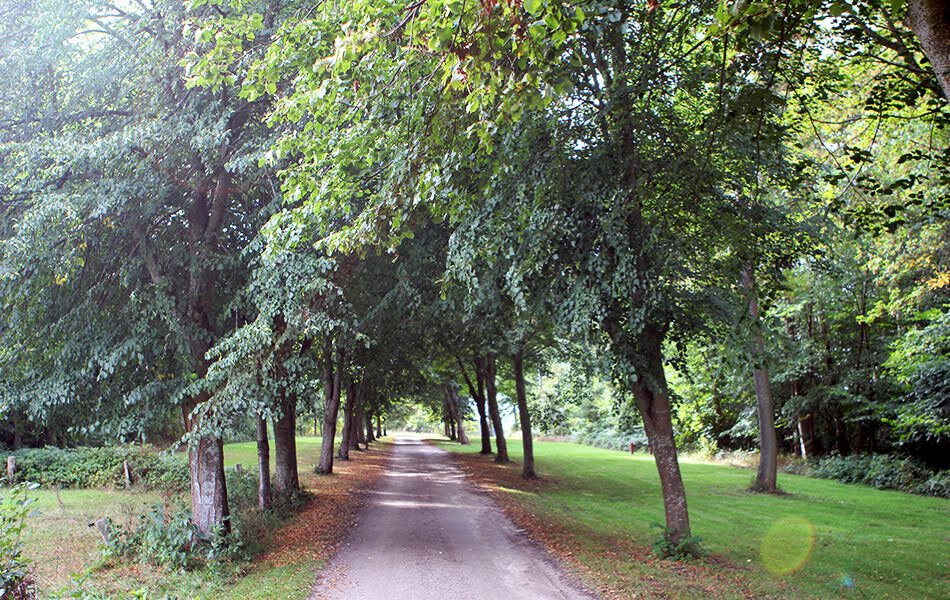 Fremhævet andet billede i fuldskærmstilstand. Billede af Fjordplantagen 22, Glud, 7130 Juelsminde