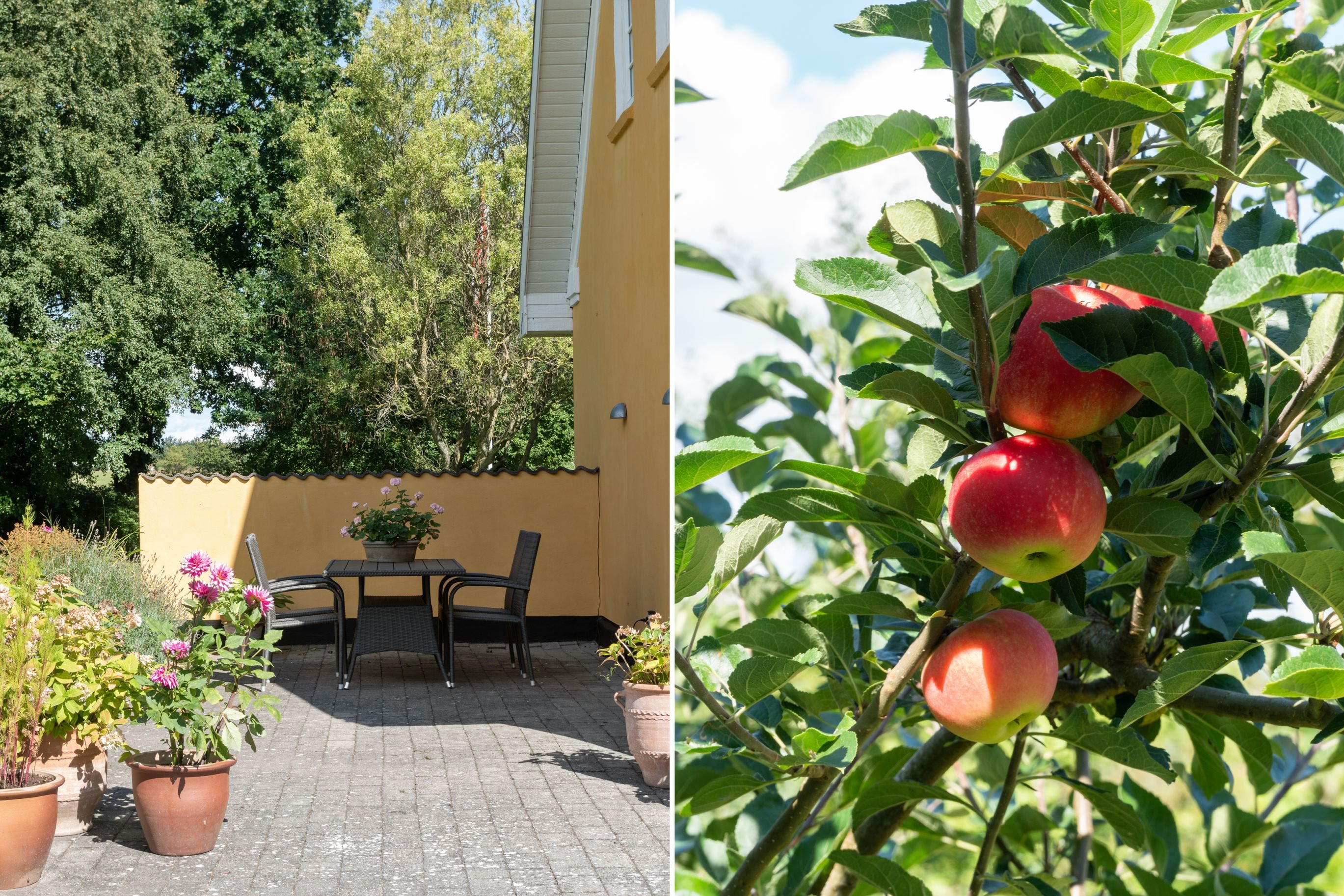 Fremhævet terrasse billede i fuldskærmstilstand. Billede af Gosmervej 104, Halling, 8300 Odder