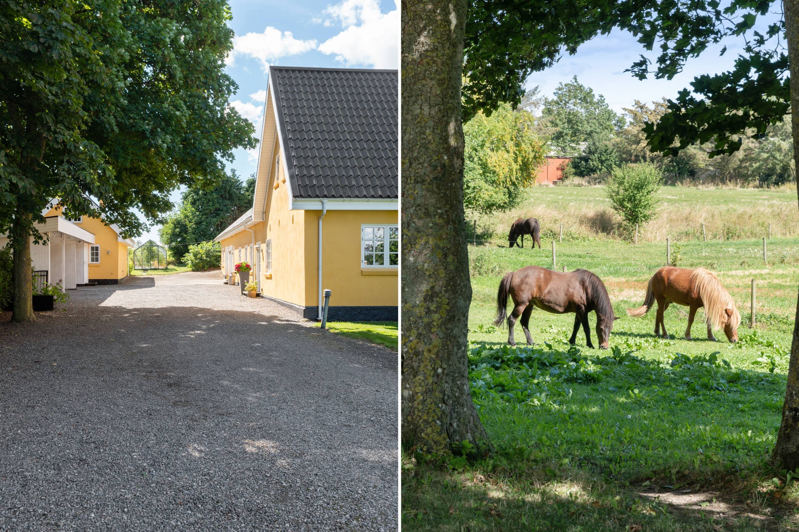 Fremhævet andet billede i fuldskærmstilstand. Billede af Gosmervej 104, Halling, 8300 Odder