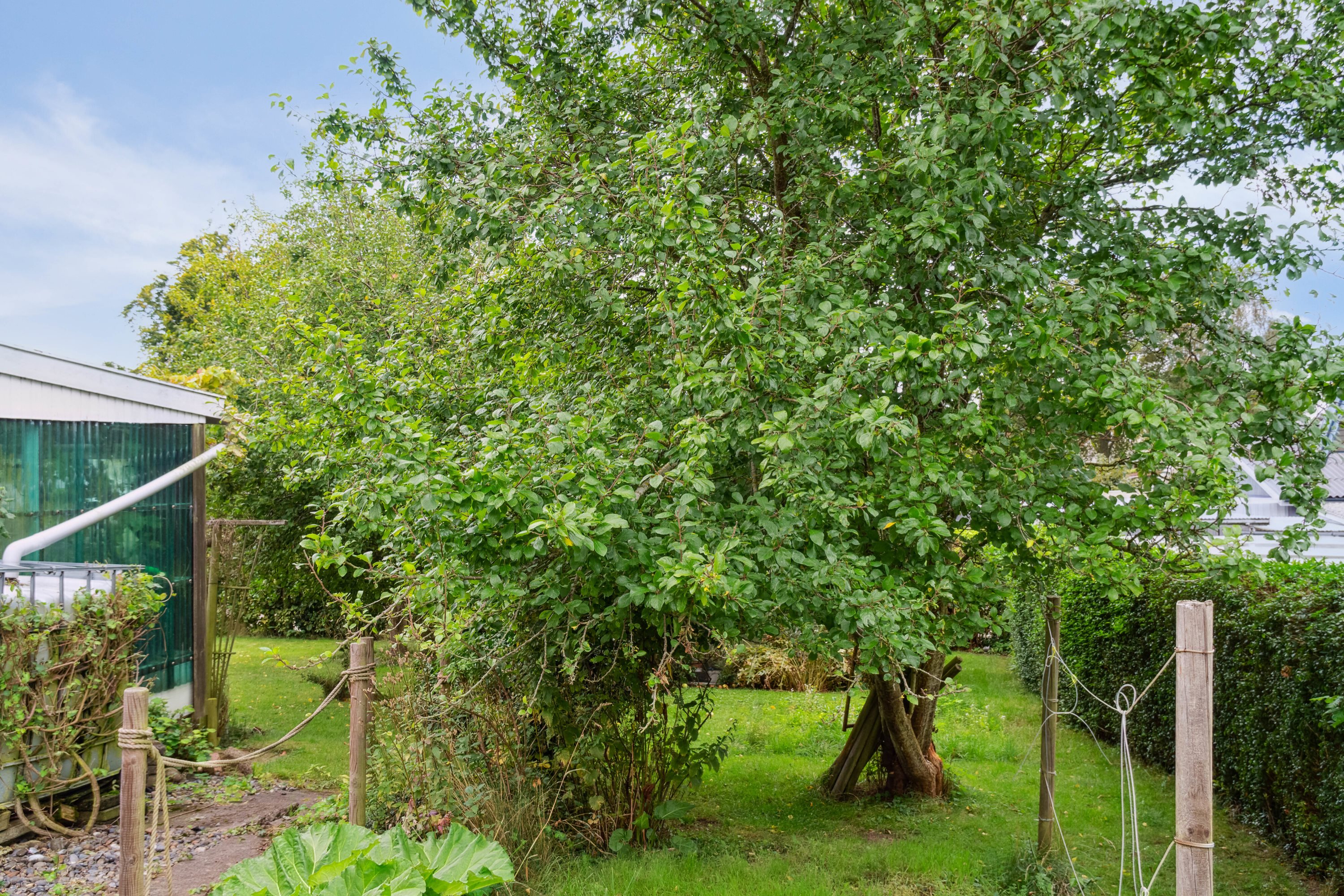 Fremhævet baghave billede i fuldskærmstilstand. Billede af Birkevej 5, 4720 Præstø