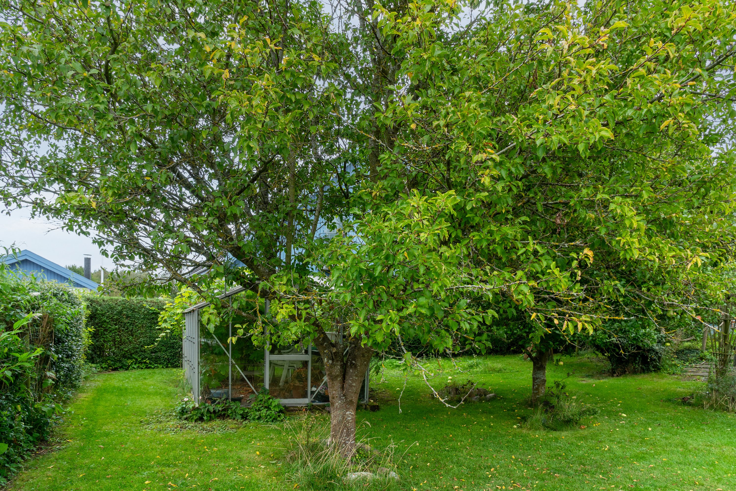 Fremhævet have billede i fuldskærmstilstand. Billede af Birkevej 5, 4720 Præstø