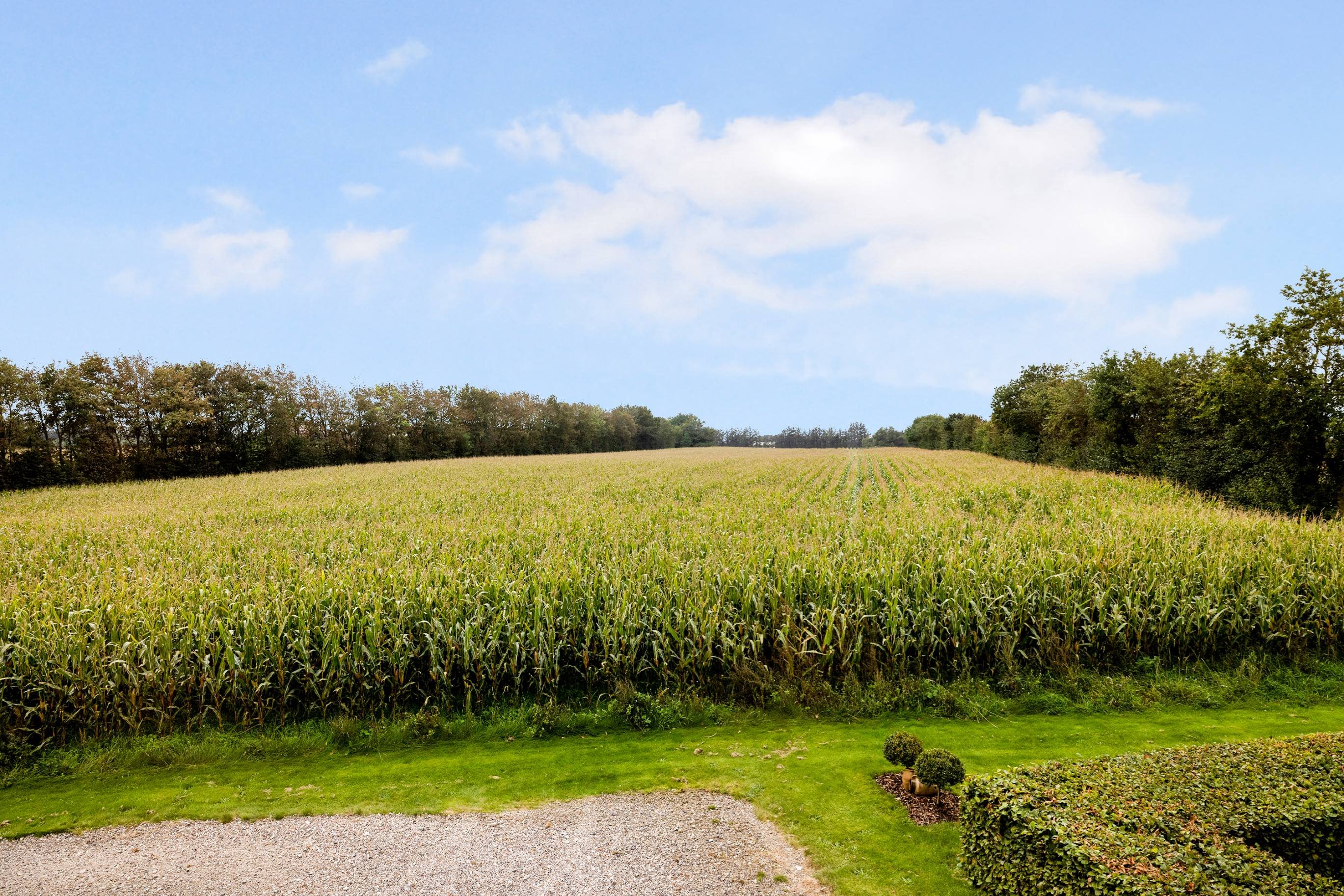 Fremhævet udsigt billede i fuldskærmstilstand. Billede af Aggersundvej 98, Hvorvarp, 9600 Aars