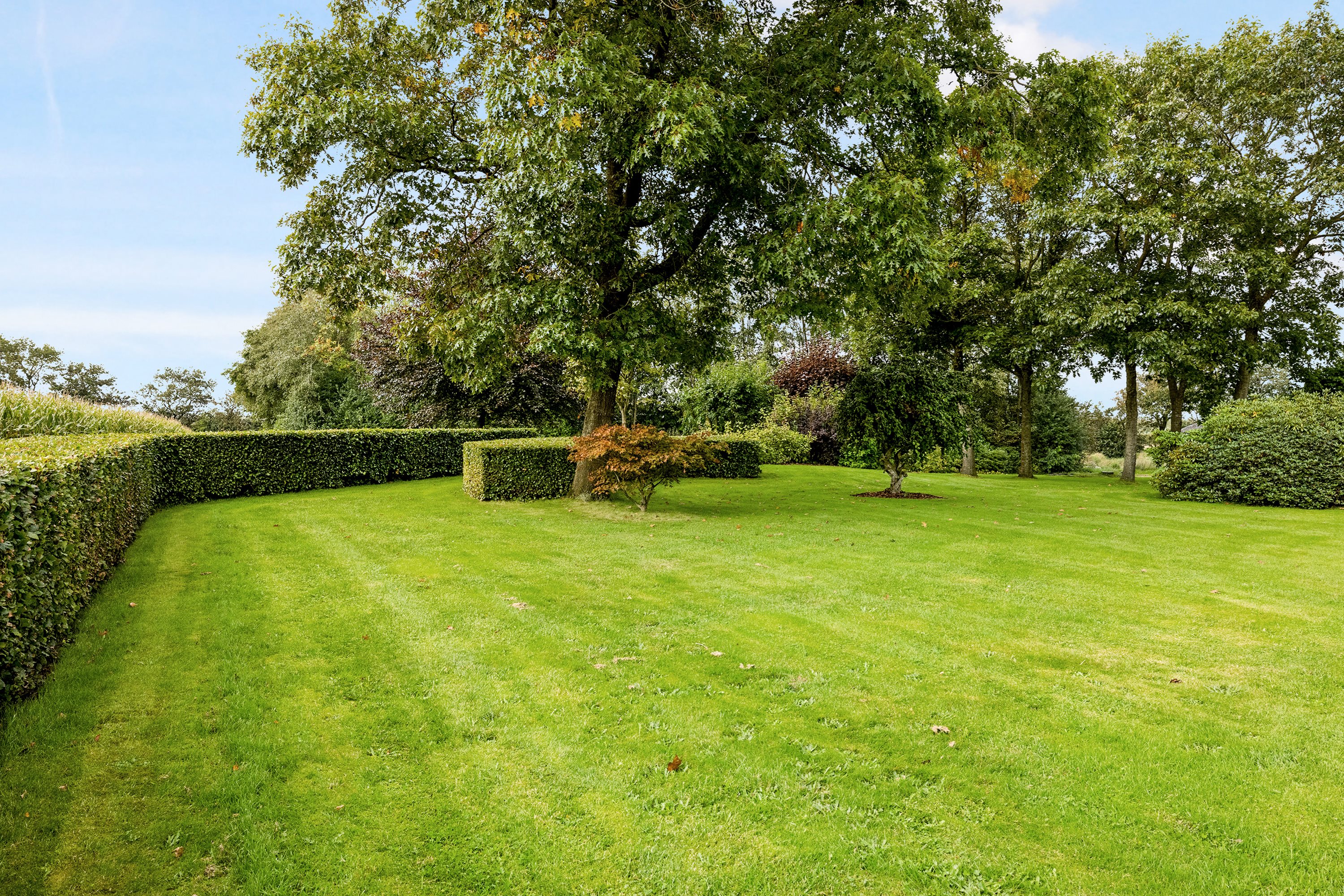 Fremhævet have billede i fuldskærmstilstand. Billede af Aggersundvej 98, Hvorvarp, 9600 Aars