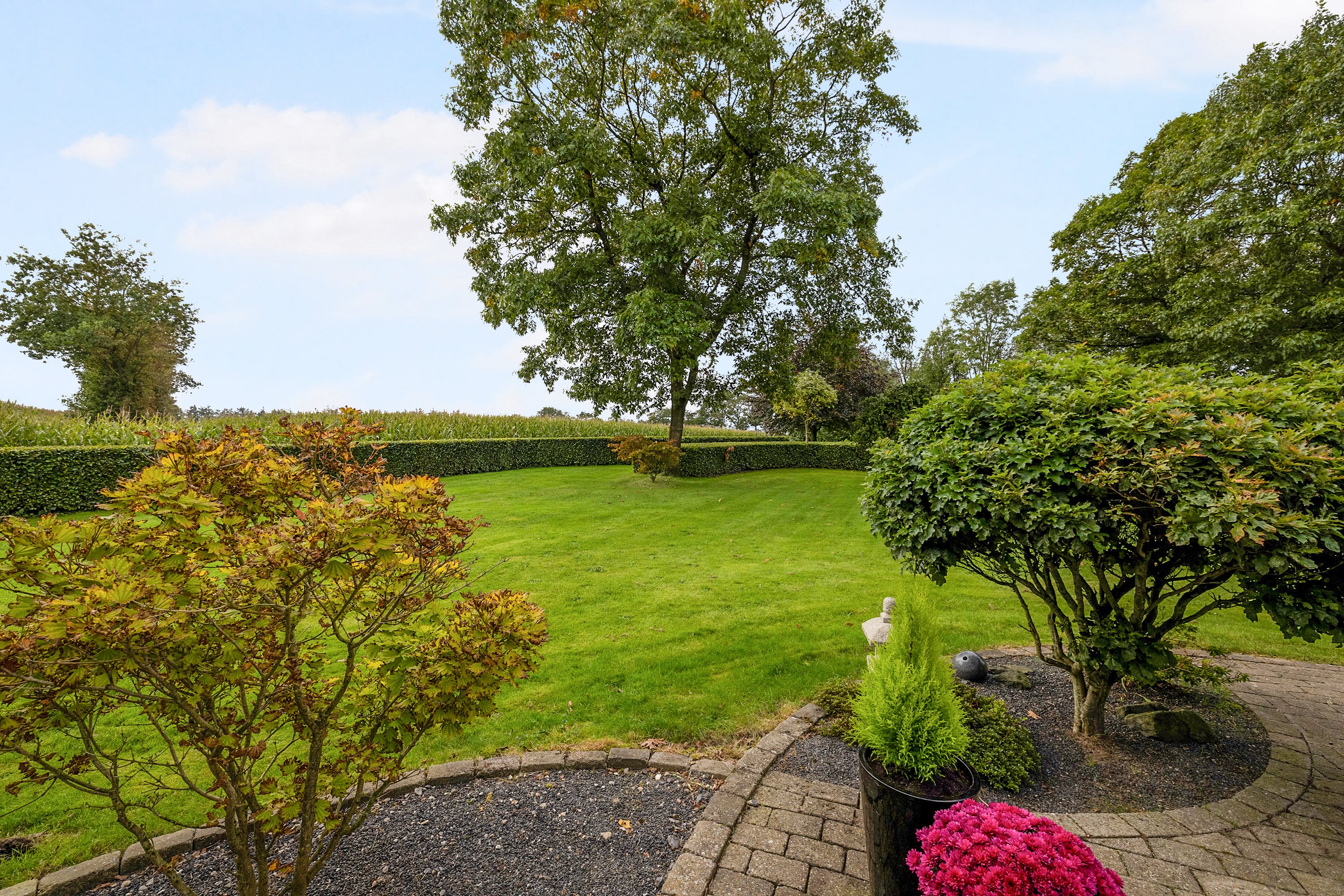 Miniaturebillede 2: have. Billede af Aggersundvej 98, Hvorvarp, 9600 Aars