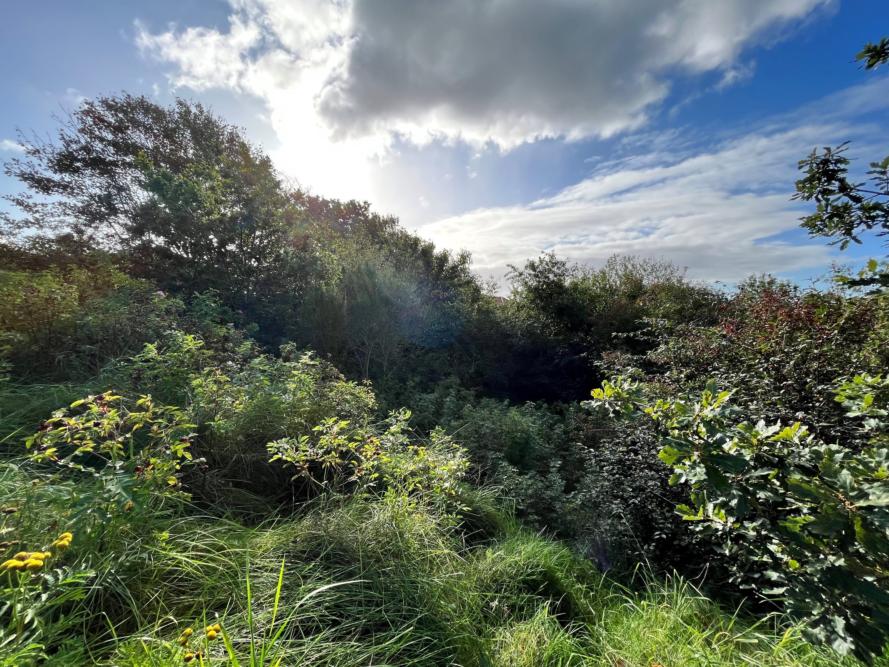 Miniaturebillede 2: grund. Billede af Solbrinken 3, Vorgod, 6920 Videbæk