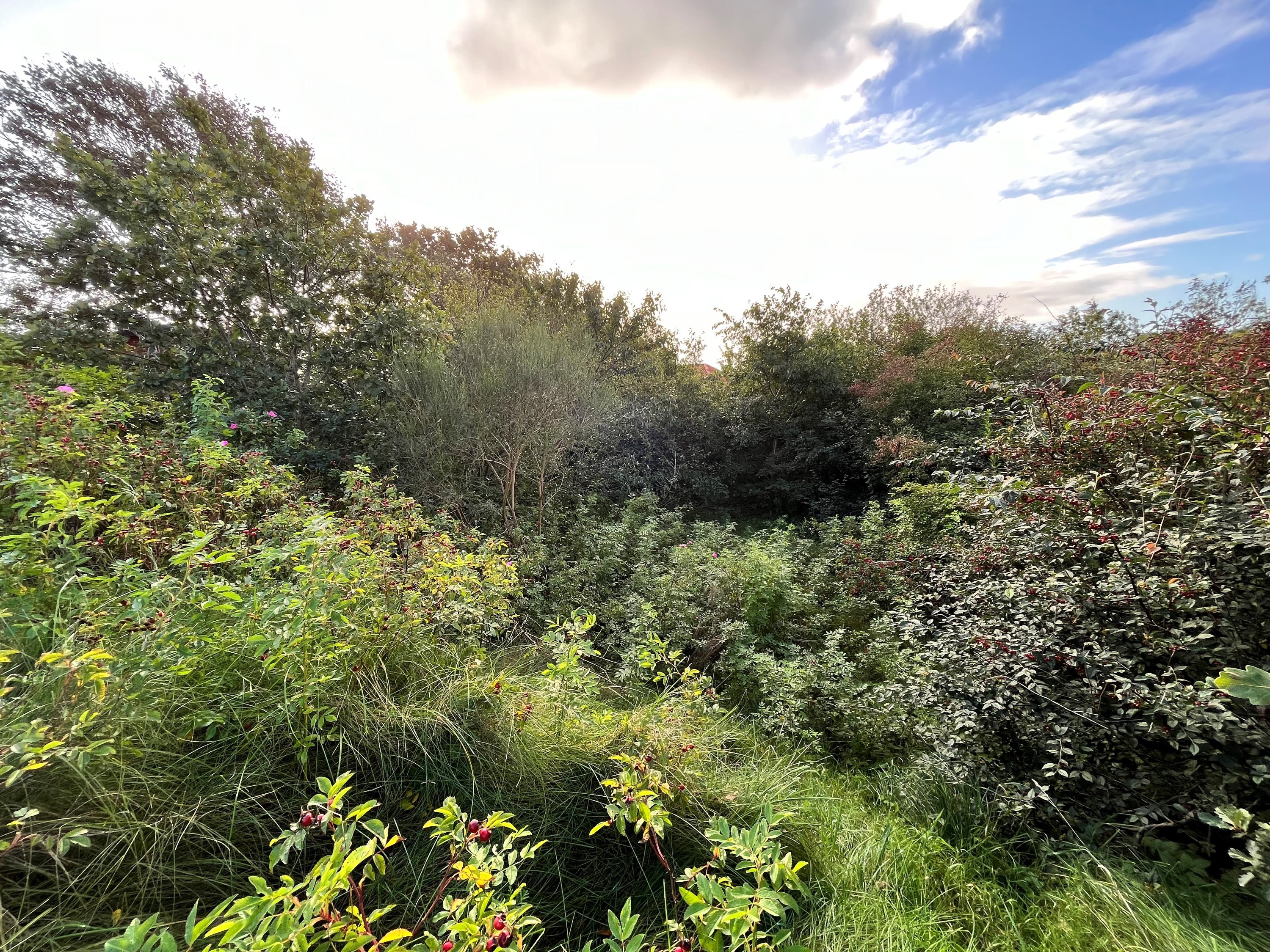 Fremhævet grund billede i fuldskærmstilstand. Billede af Solbrinken 3, Vorgod, 6920 Videbæk