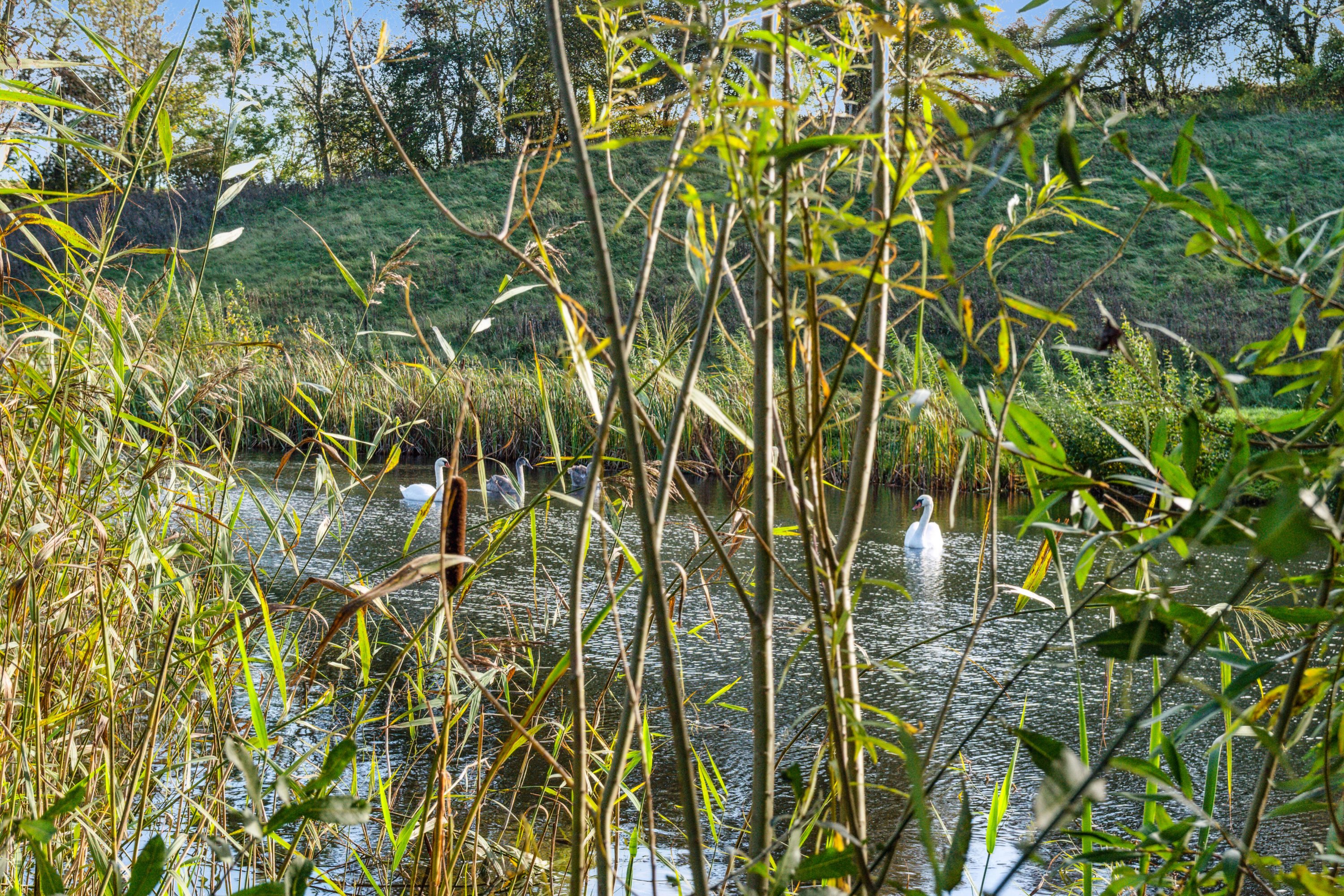 Fremhævet omgivelser billede i fuldskærmstilstand. Billede af Præstevænget 1A, 1B., 4735 Mern