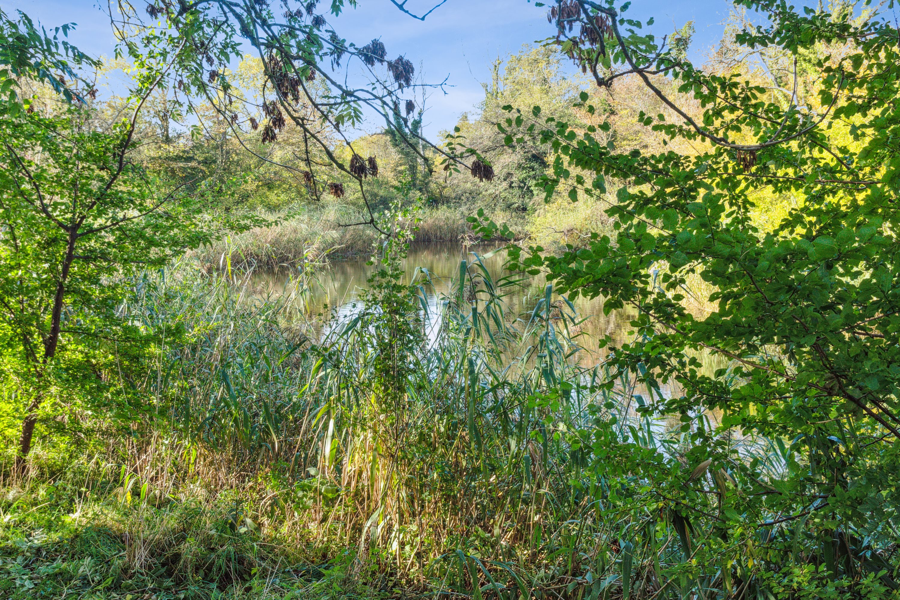 Fremhævet omgivelser billede i fuldskærmstilstand. Billede af Præstevænget 1A, 1B., 4735 Mern