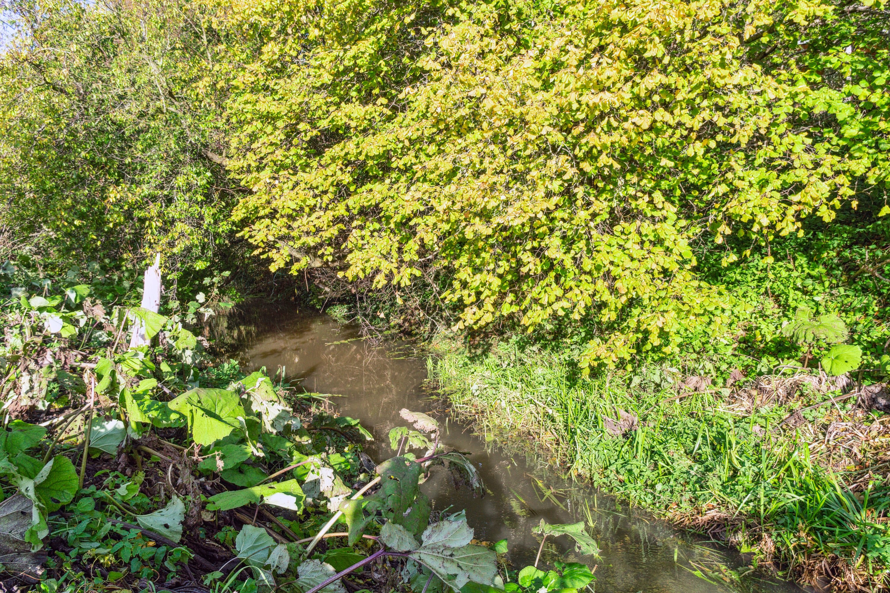 Fremhævet omgivelser billede i fuldskærmstilstand. Billede af Præstevænget 1A, 1B., 4735 Mern