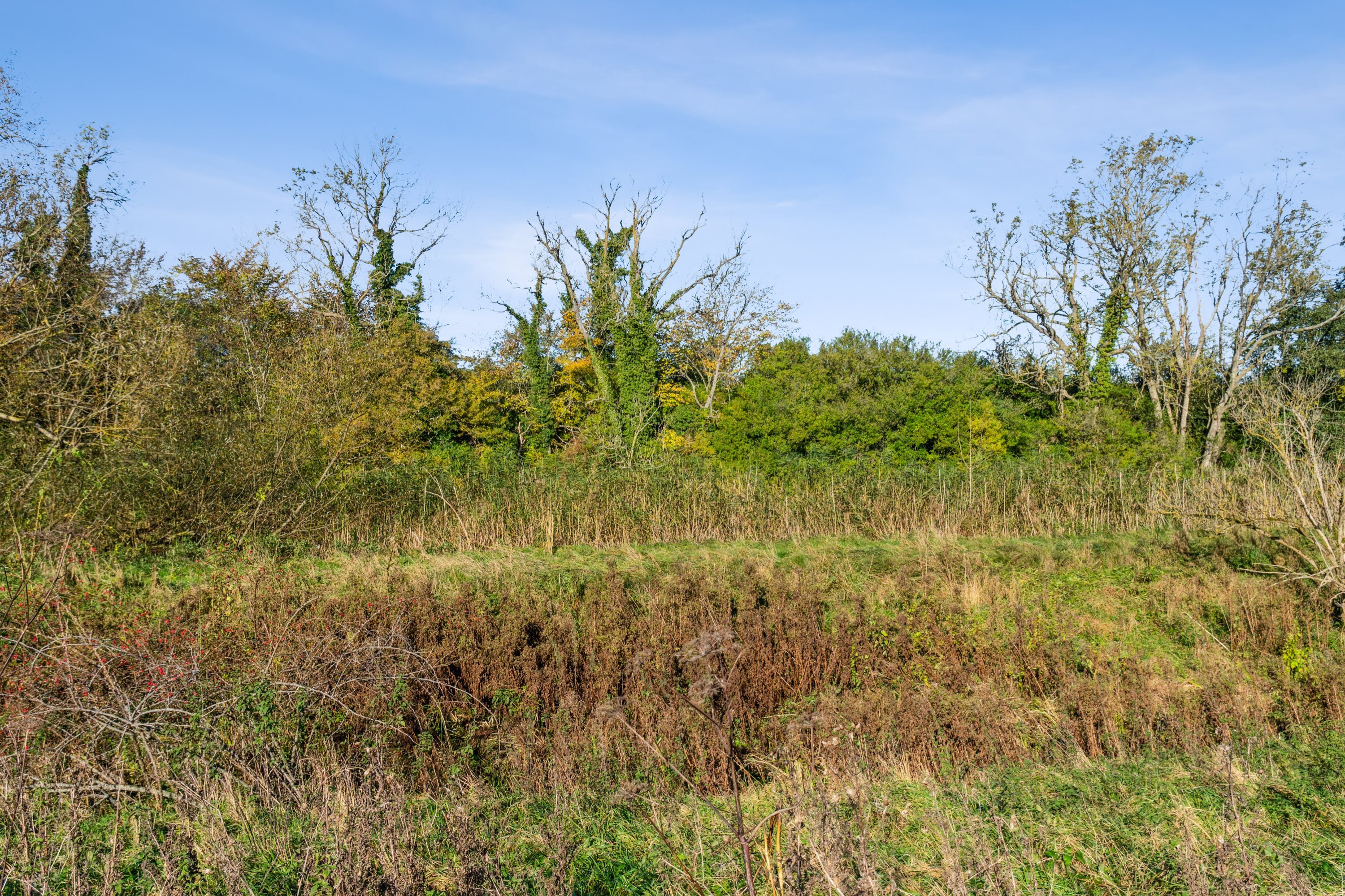 Fremhævet omgivelser billede i fuldskærmstilstand. Billede af Præstevænget 1A, 1B., 4735 Mern