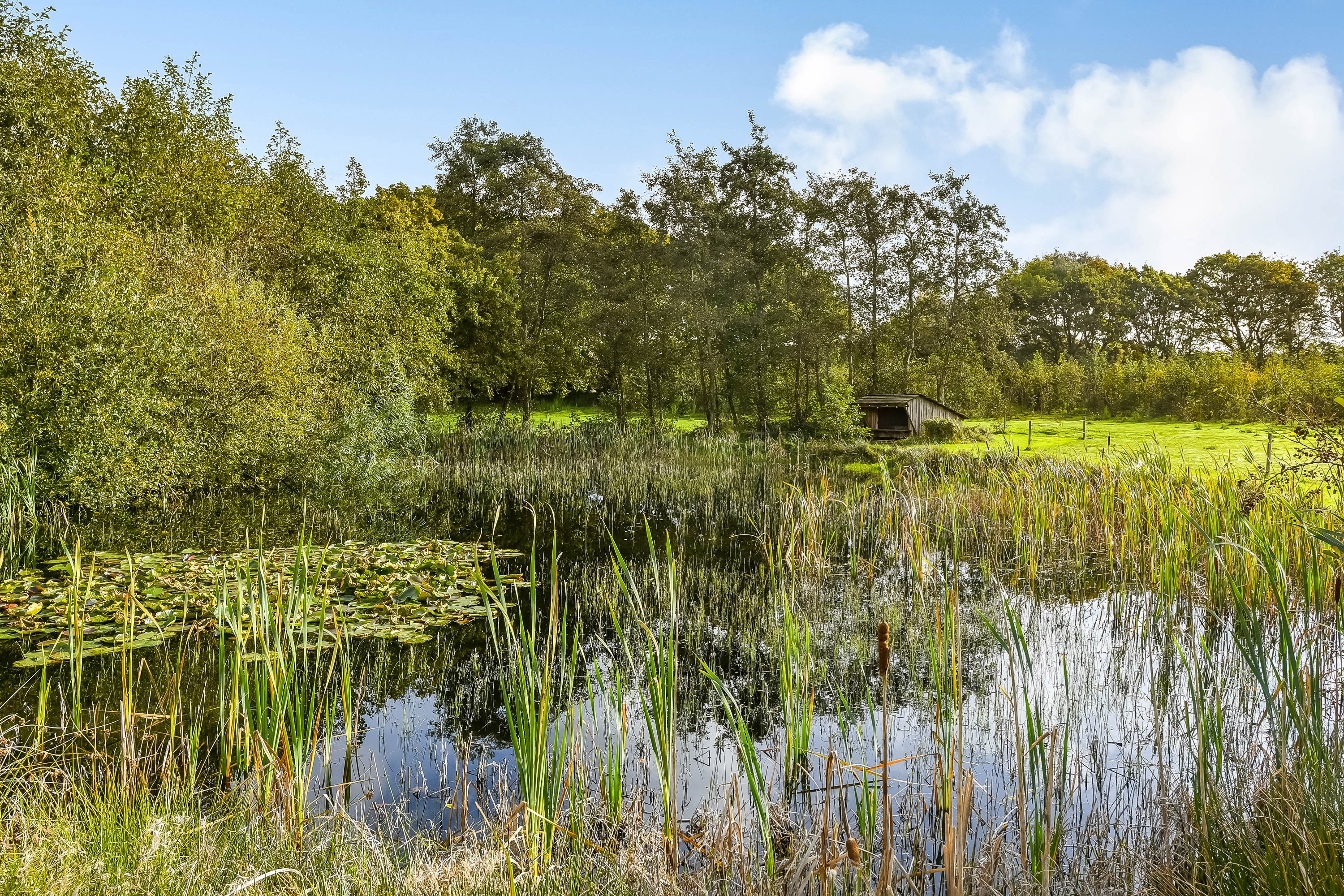 Fremhævet terrasse billede i fuldskærmstilstand. Billede af Hindskovvej 31, Thyregod, 7323 Give