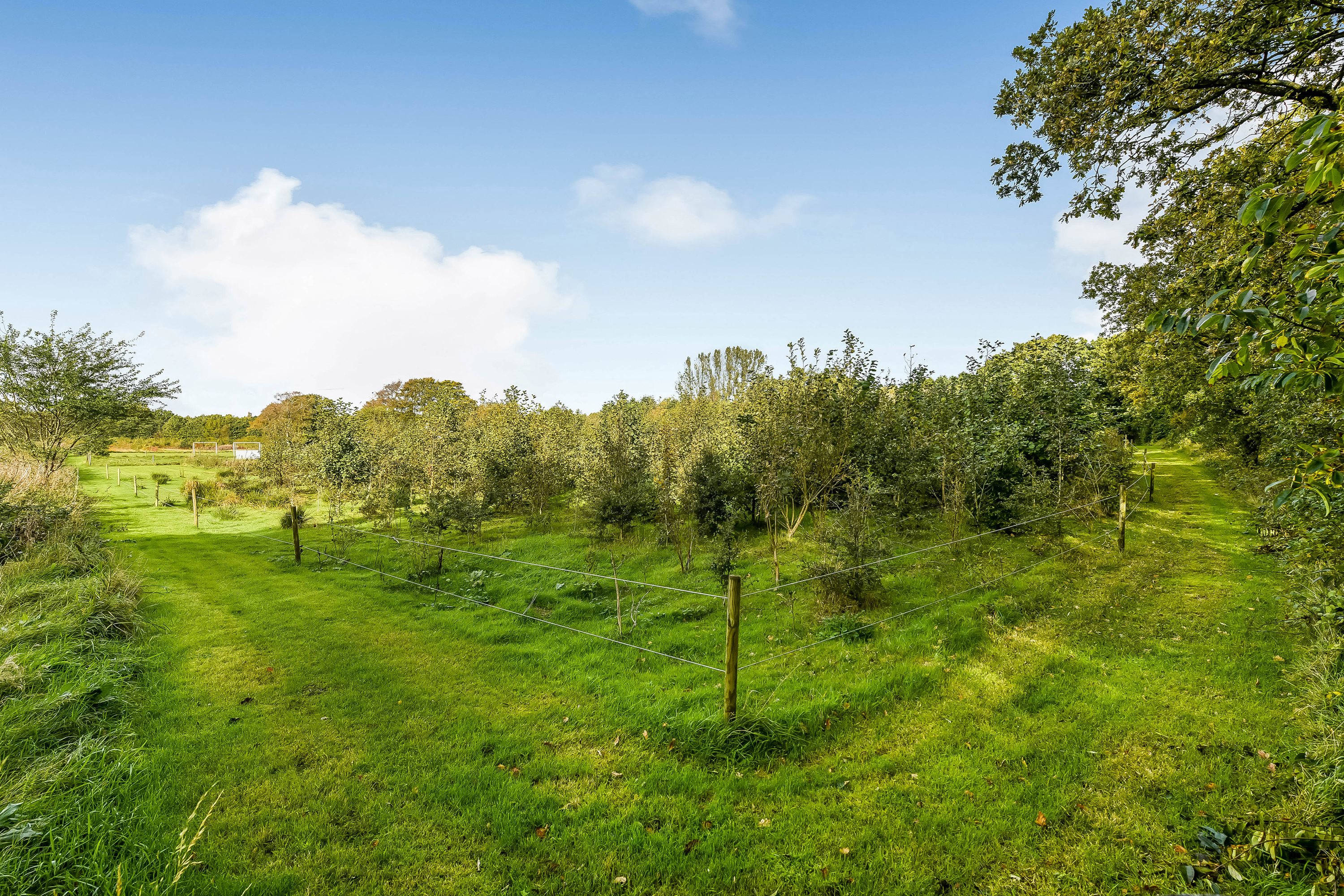 Fremhævet have billede i fuldskærmstilstand. Billede af Hindskovvej 31, Thyregod, 7323 Give