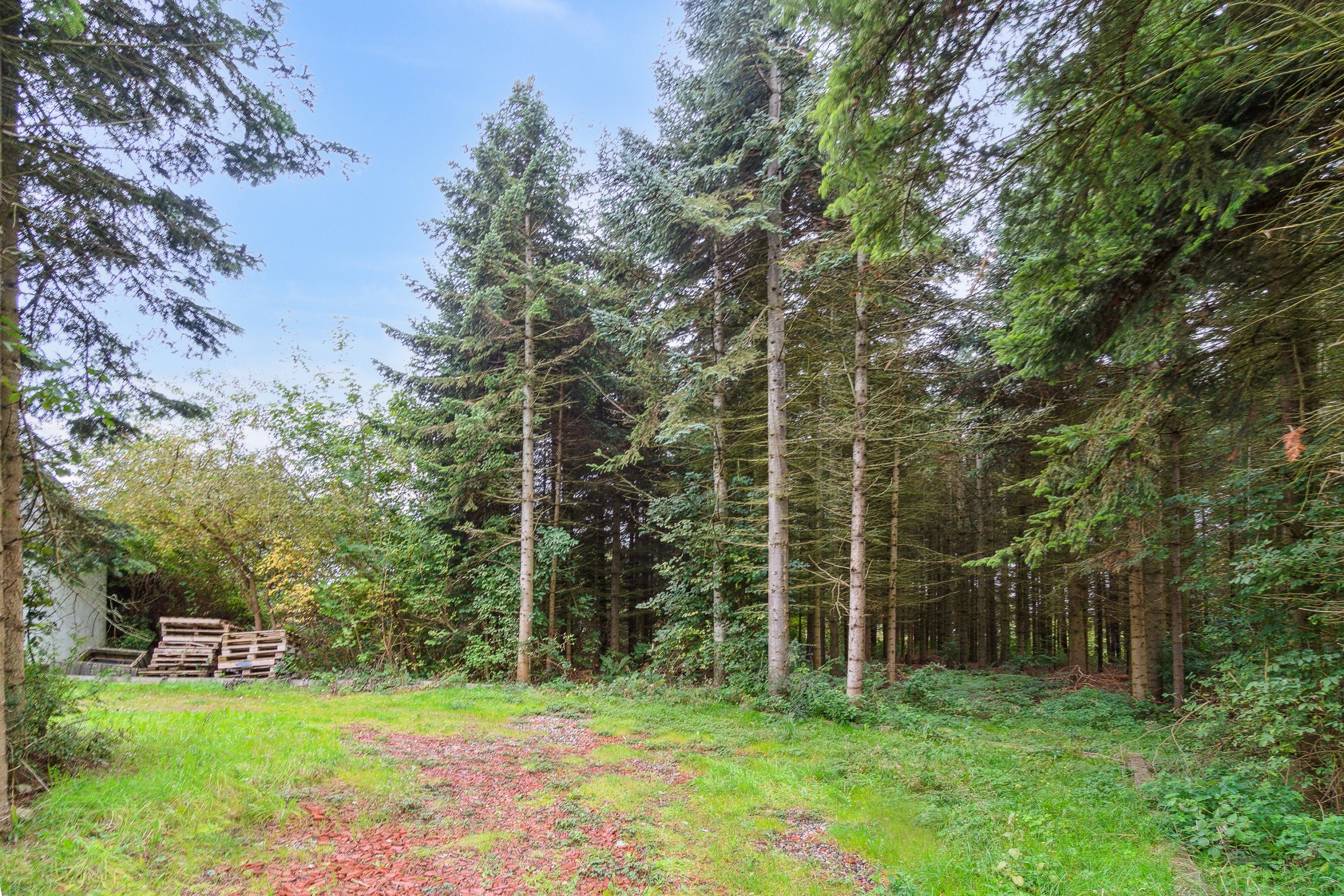 Fremhævet set fra haven billede i fuldskærmstilstand. Billede af Birkevej 13, Løvskal, 8850 Bjerringbro