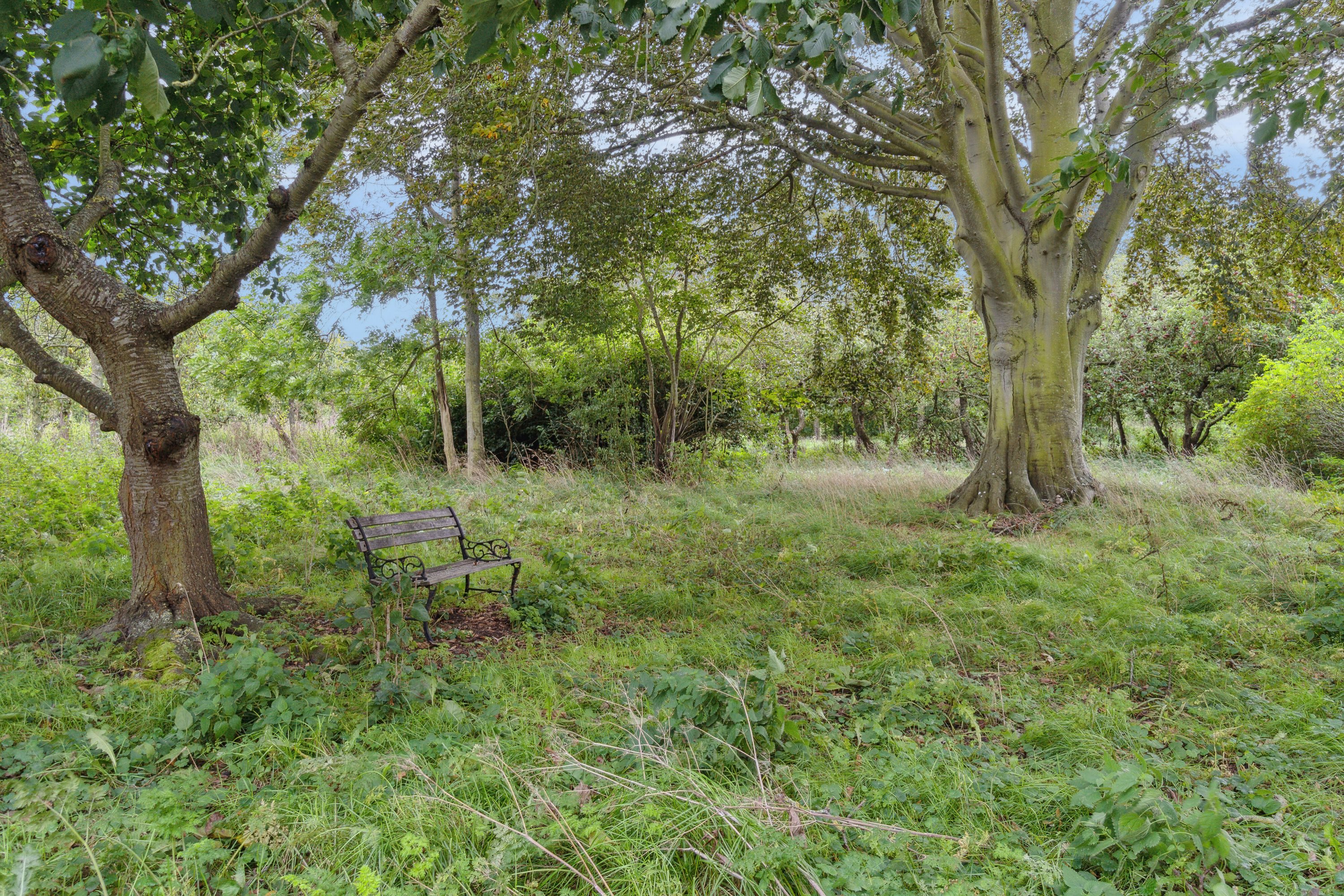 Fremhævet udendørs billede i fuldskærmstilstand. Billede af Fynshovedvej 584, 5390 Martofte