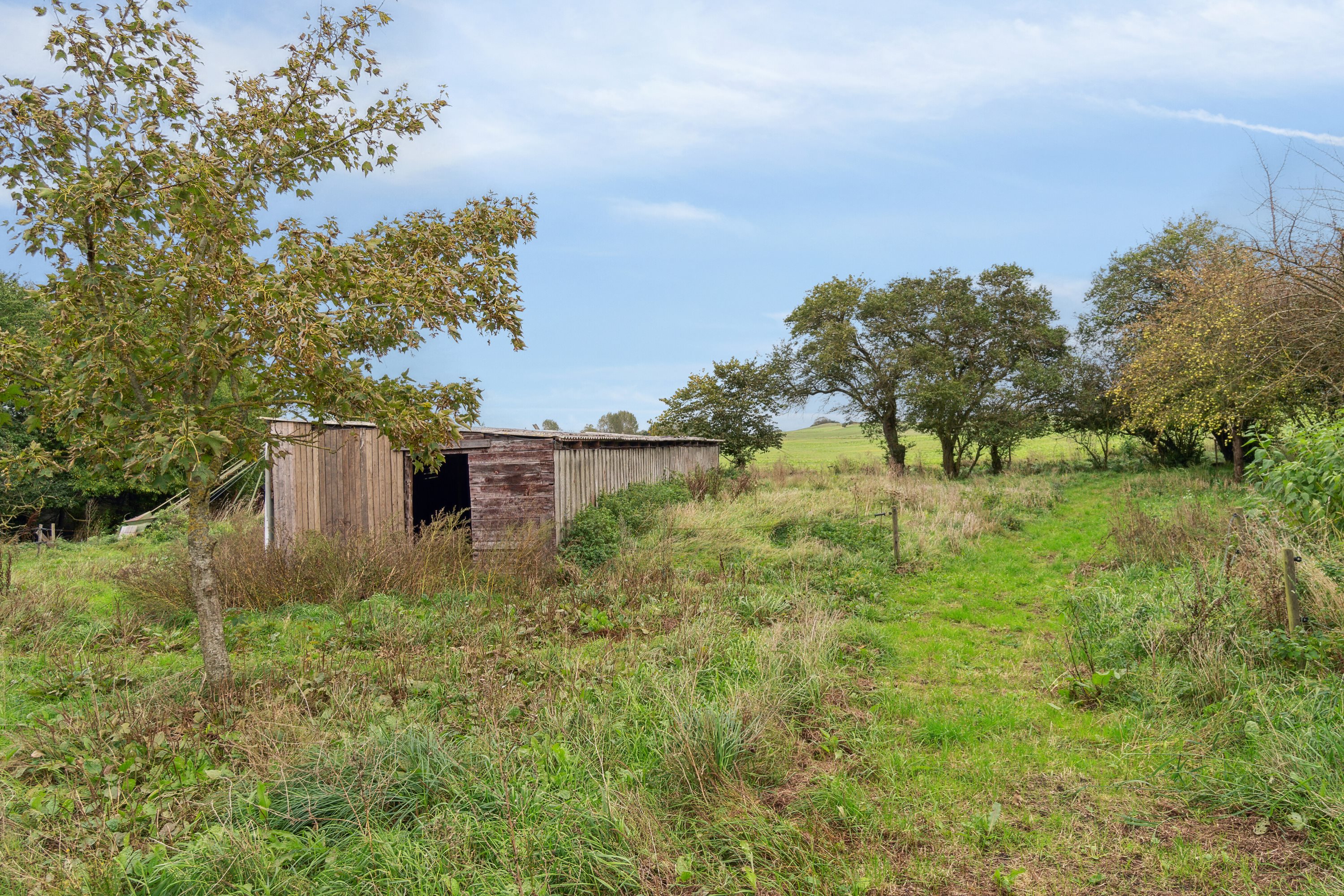 Fremhævet udendørs billede i fuldskærmstilstand. Billede af Fynshovedvej 584, 5390 Martofte
