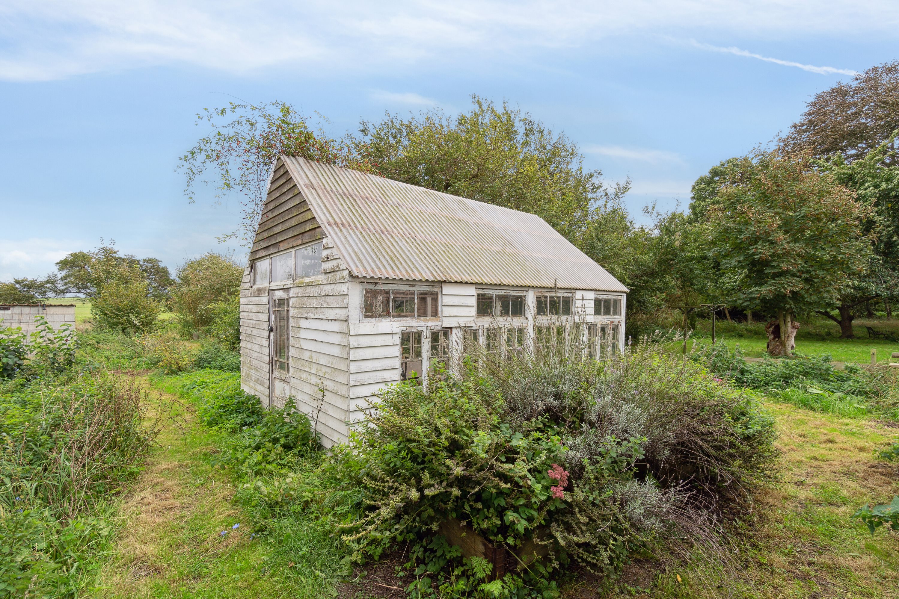 Fremhævet drivhus billede i fuldskærmstilstand. Billede af Fynshovedvej 584, 5390 Martofte
