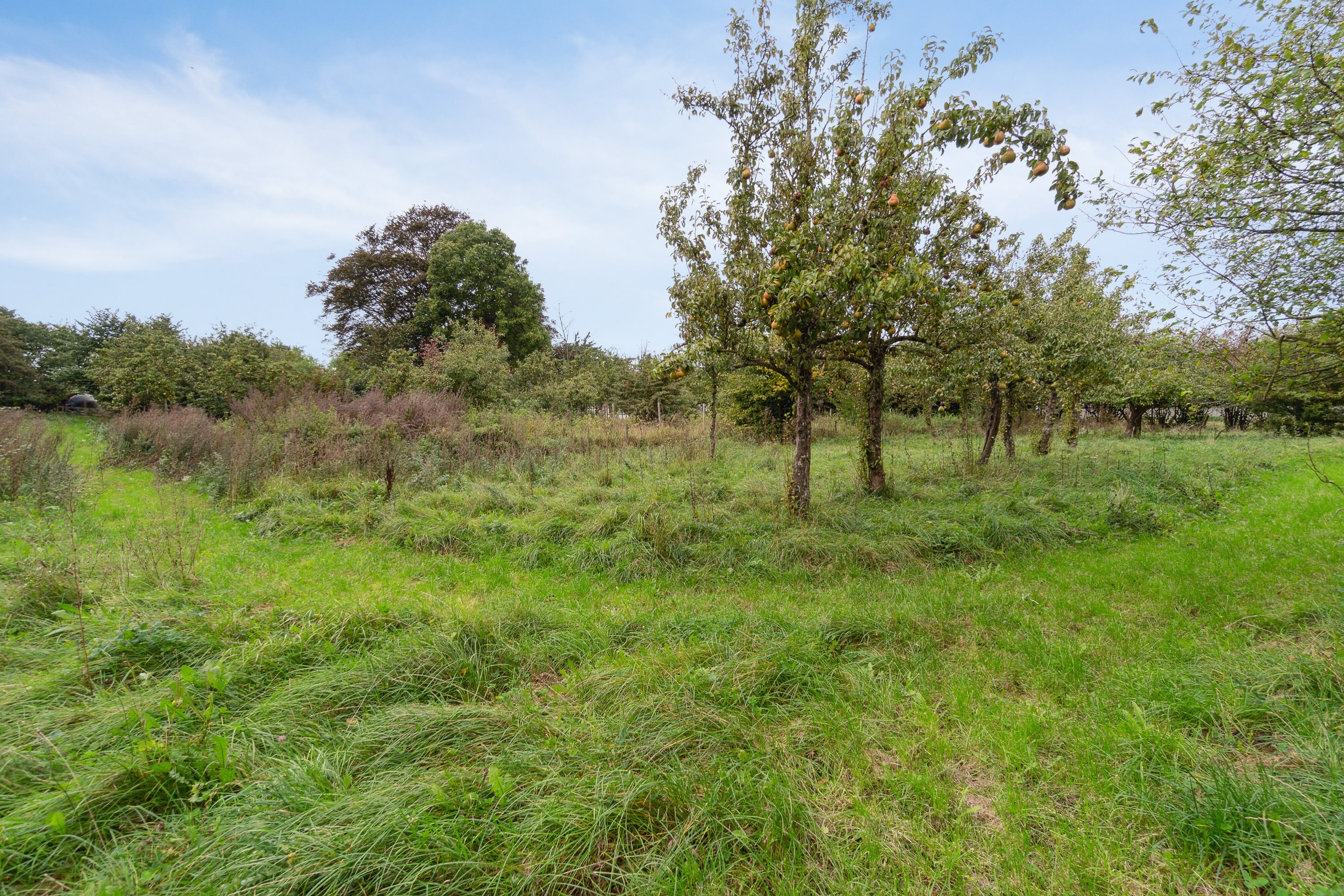 Fremhævet udendørs billede i fuldskærmstilstand. Billede af Fynshovedvej 584, 5390 Martofte