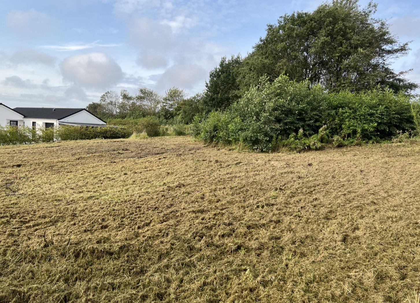 Fremhævet  billede i fuldskærmstilstand. Billede af Enehøjvej 4, 7752 Snedsted