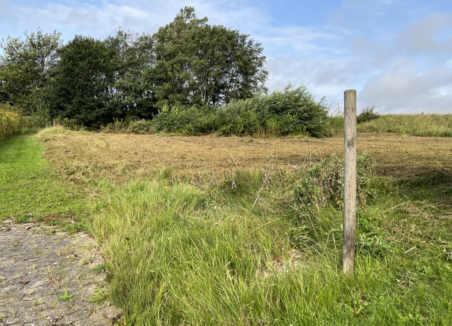 Fremhævet  billede i fuldskærmstilstand. Billede af Enehøjvej 4, 7752 Snedsted