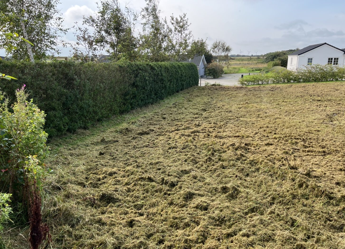 Fremhævet  billede i fuldskærmstilstand. Billede af Enehøjvej 4, 7752 Snedsted