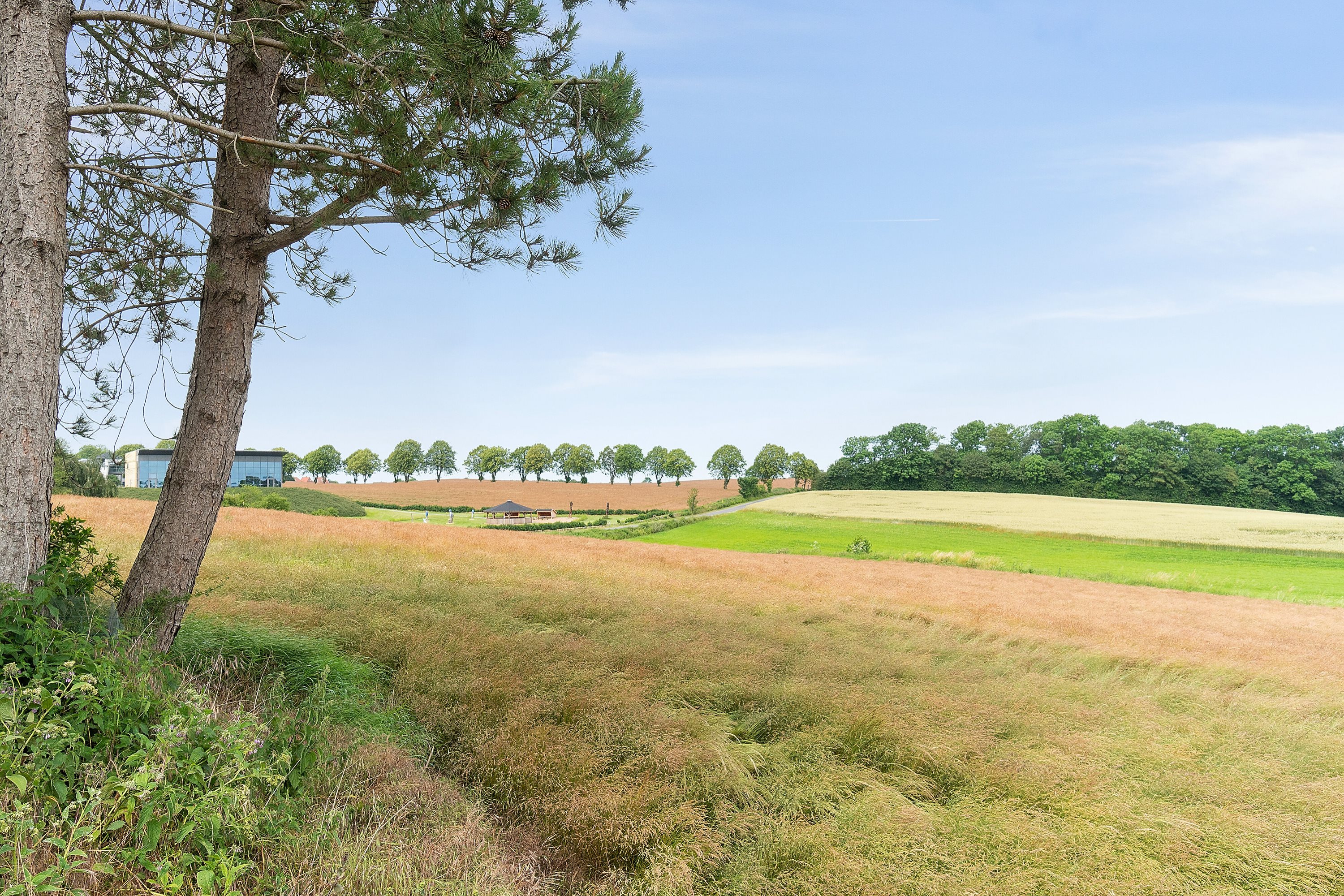 Fremhævet udendørs billede i fuldskærmstilstand. Billede af Sinebjergvej 9, Bjerne, 5600 Faaborg