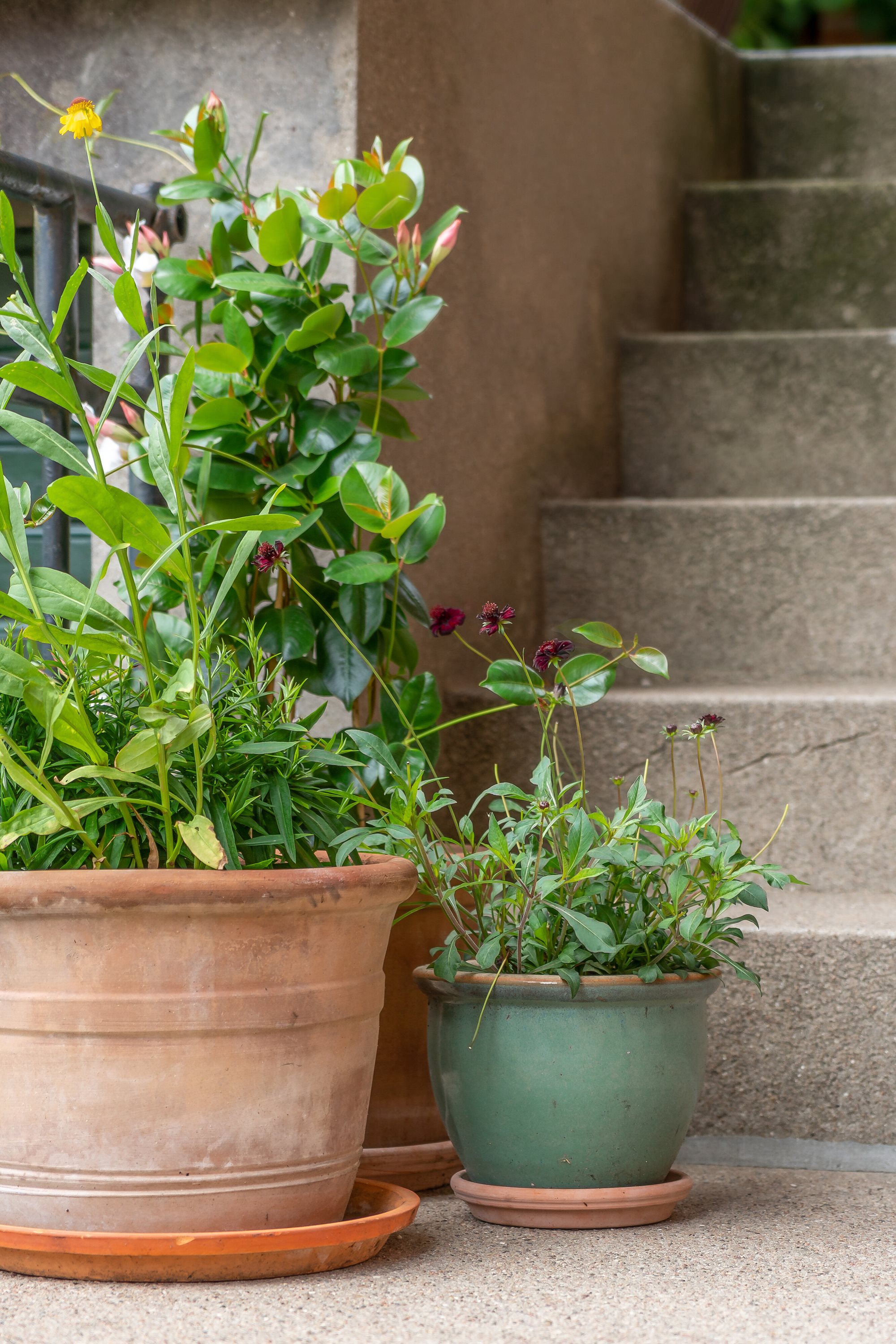 Fremhævet udendørs billede i fuldskærmstilstand. Billede af Skolevej 7, Glamsbjerg by, 5620 Glamsbjerg