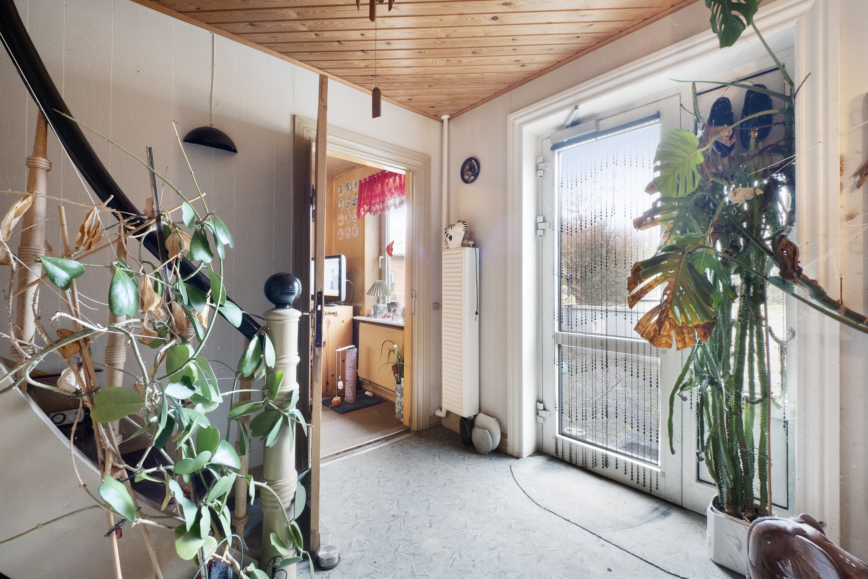 Fremhævet gang billede i fuldskærmstilstand. Billede af Klitmøllervej 35, Øster Vandet, 7700 Thisted