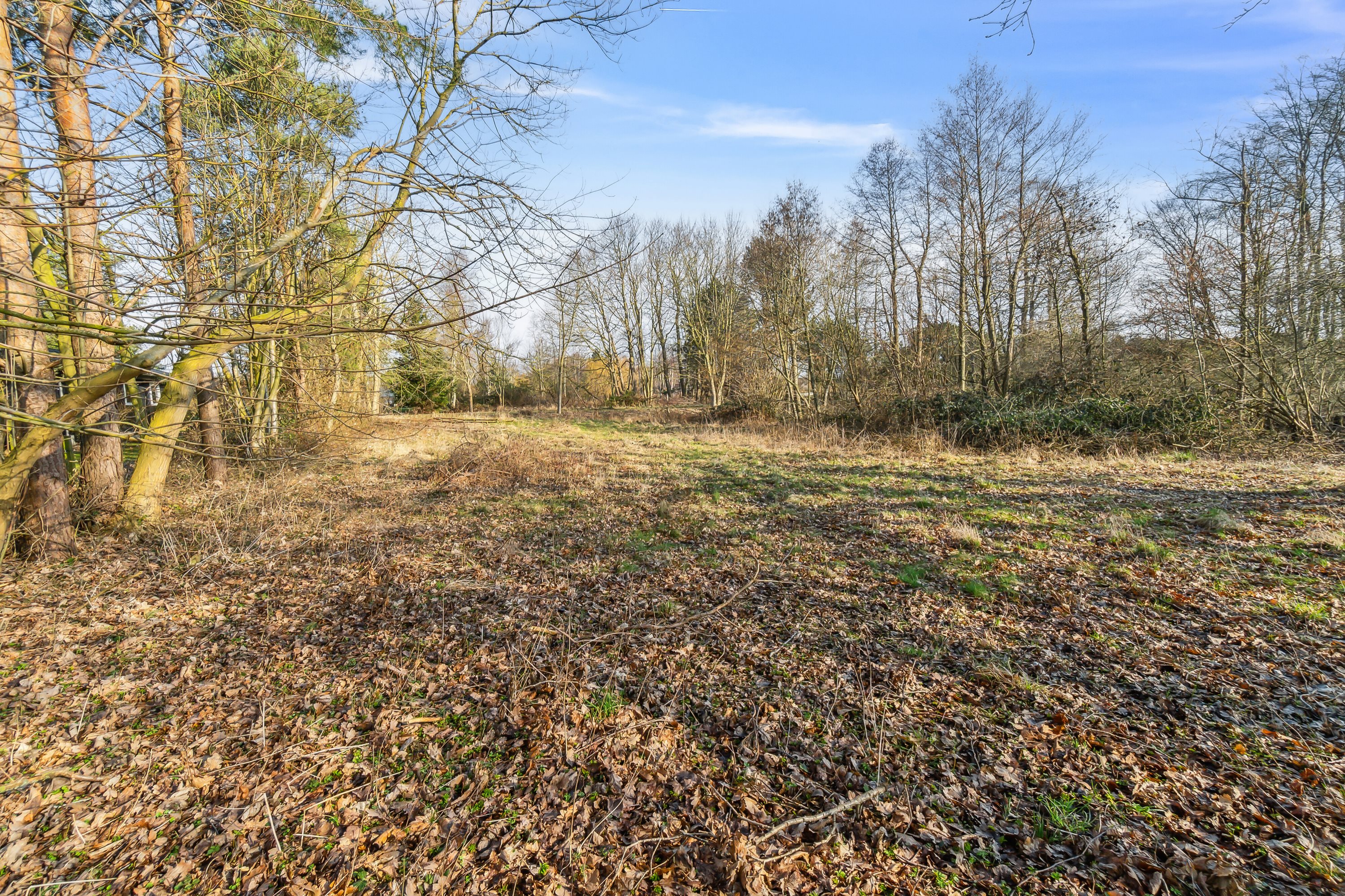 Miniaturebillede 2: set fra haven. Billede af Ørnevej 18, Bønsvig Str, 4720 Præstø