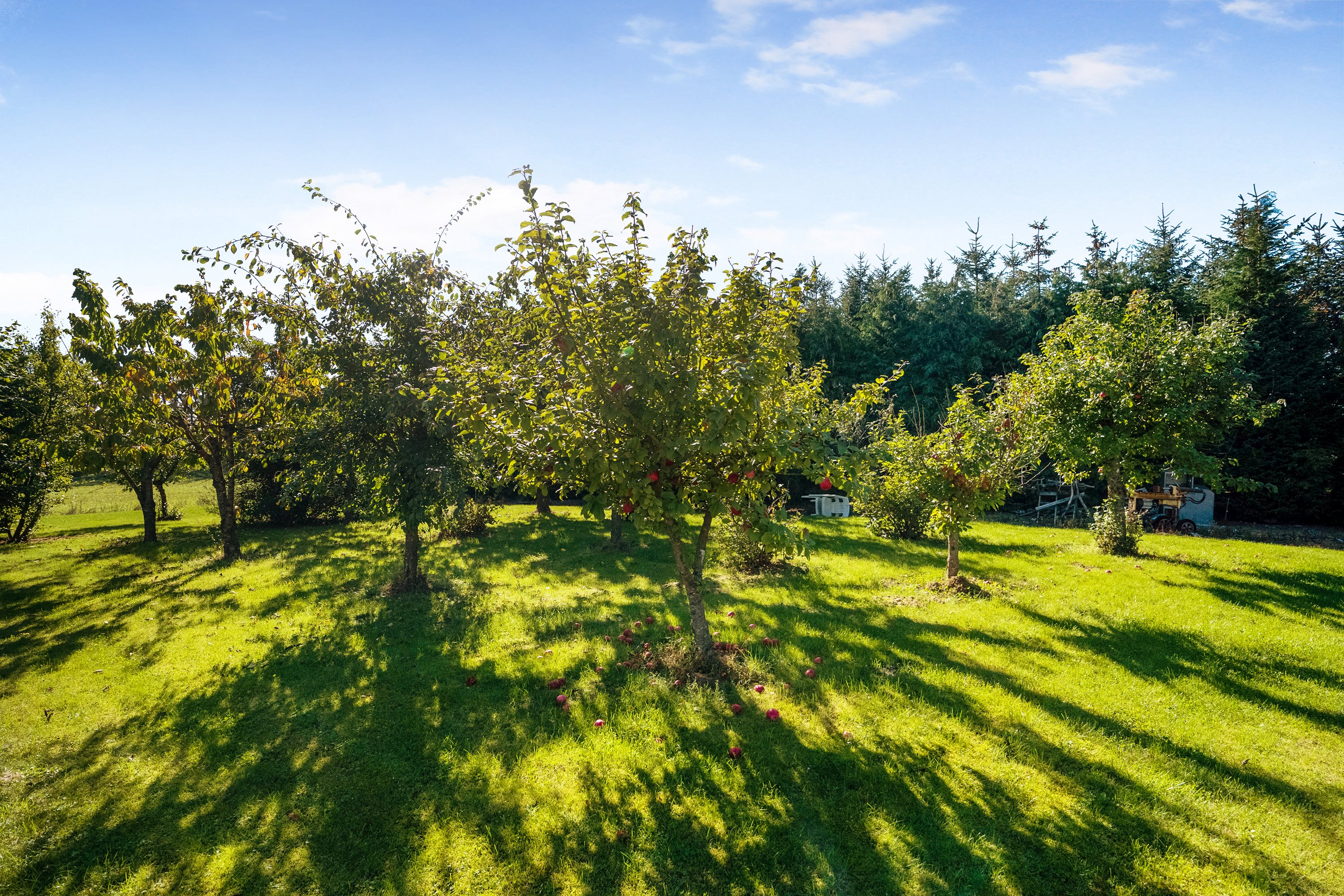 Fremhævet have billede i fuldskærmstilstand. Billede af Enshøjvej 5, Mejlby, 9610 Nørager