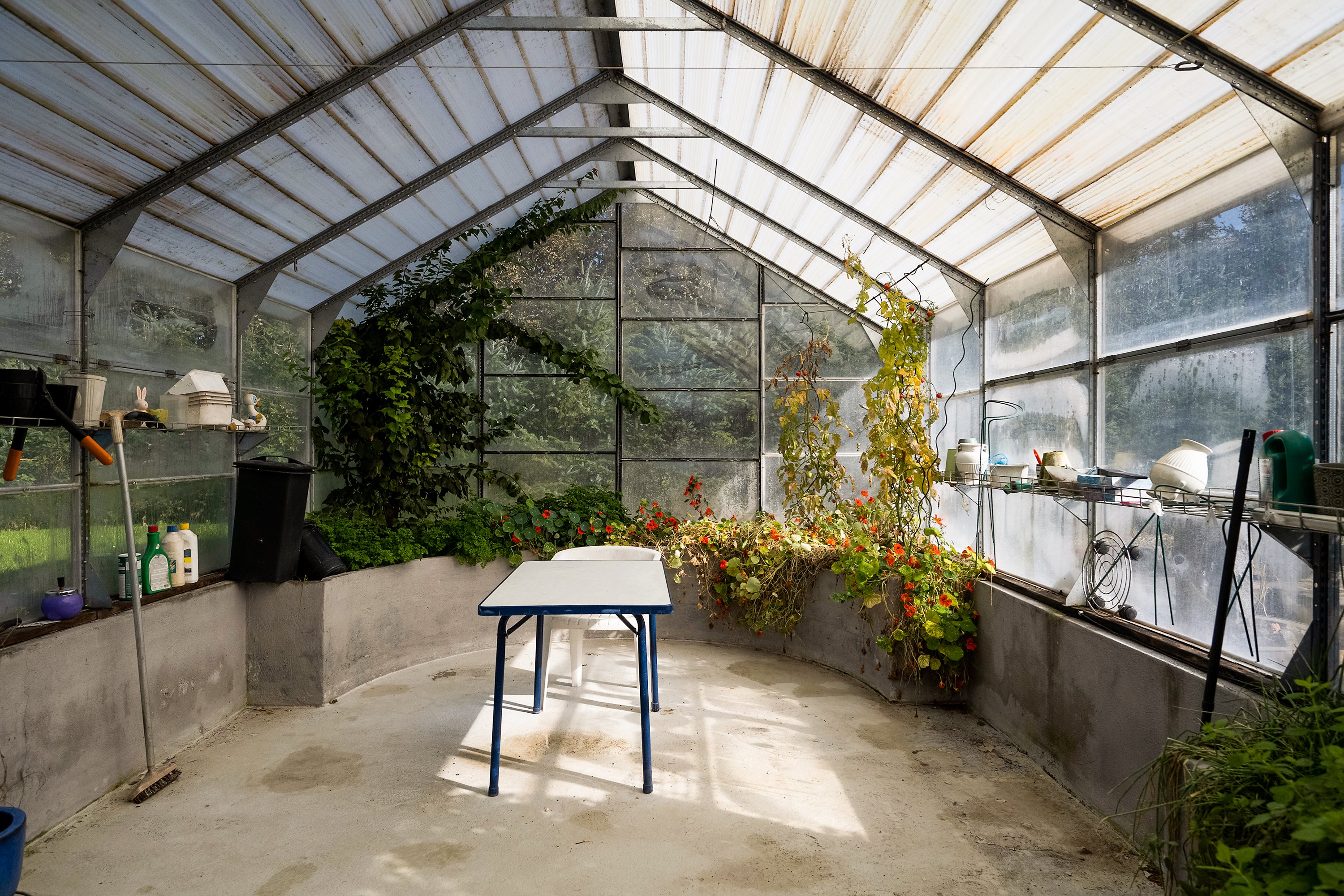 Fremhævet drivhus billede i fuldskærmstilstand. Billede af Enshøjvej 5, Mejlby, 9610 Nørager