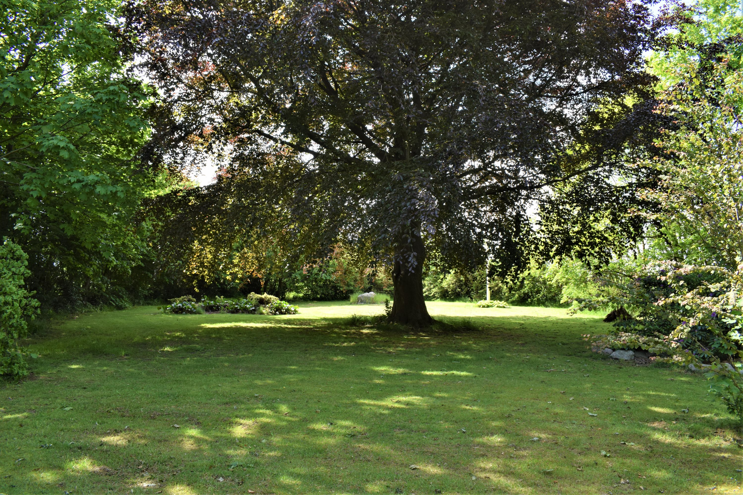 Fremhævet have billede i fuldskærmstilstand. Billede af Brejningvej 21, Brejning, 6971 Spjald